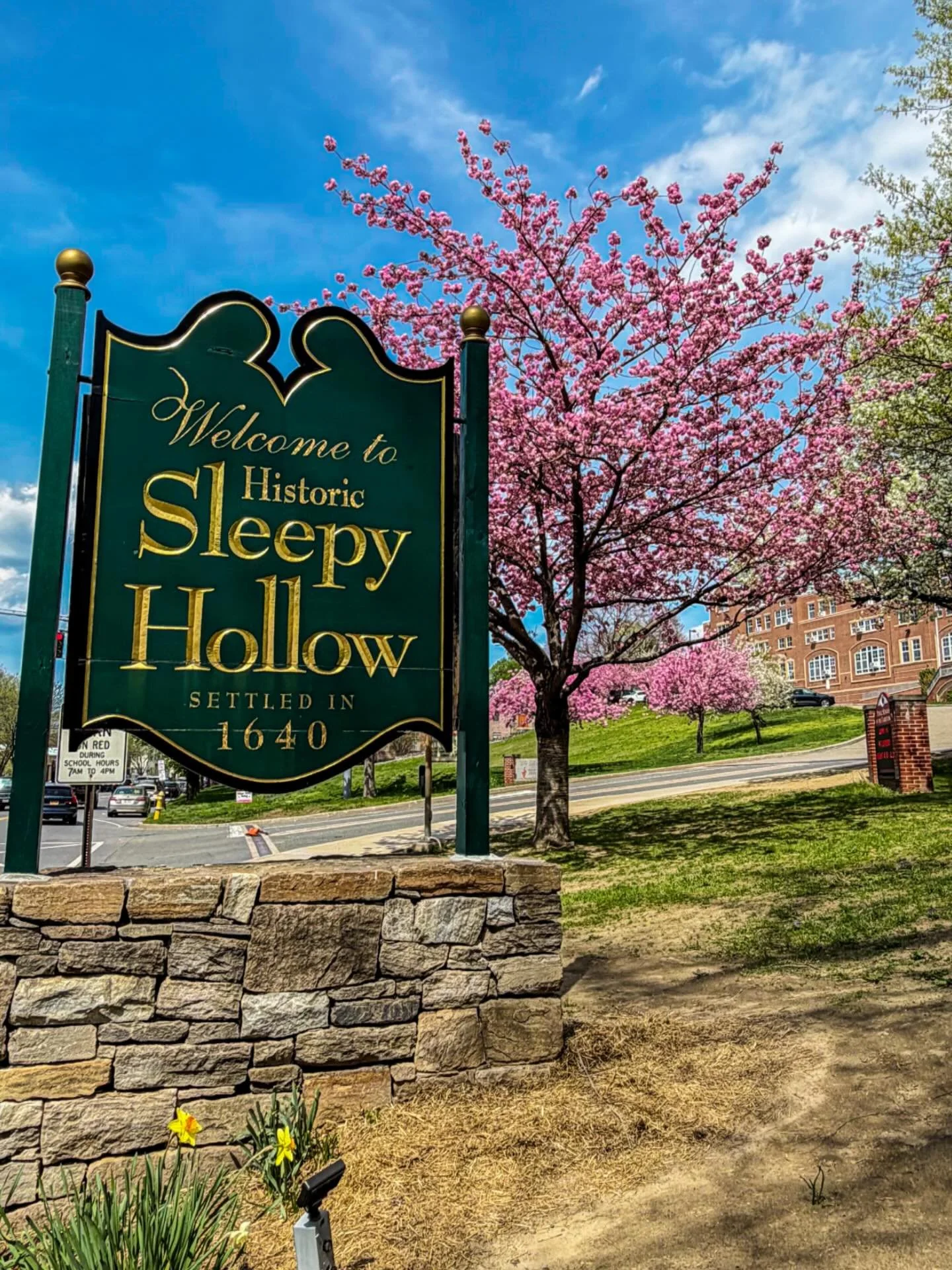 🌸there&rsquo;s something about seeing the &ldquo;Welcome to Sleepy Hollow&rdquo; sign framed by cherry blossoms that never gets old - no matter how many times you&rsquo;ve driven or walked past it! It was looking extra pretty today so of course I ne