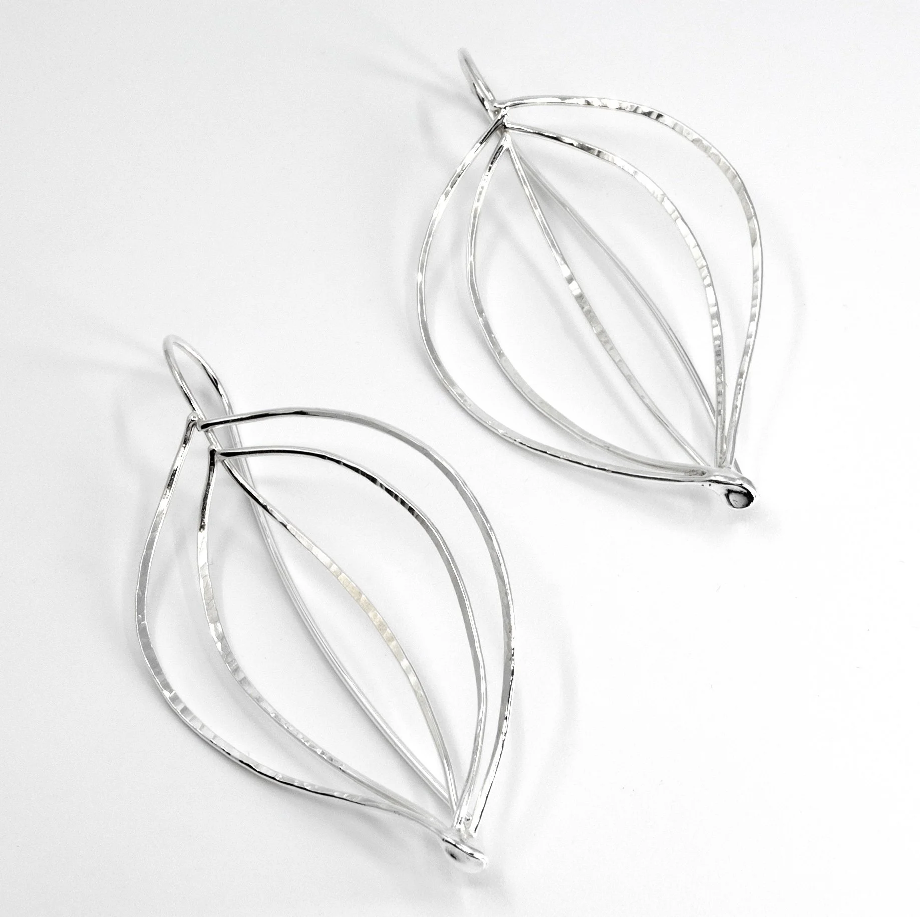Leaf Skeletons 2026.jpg