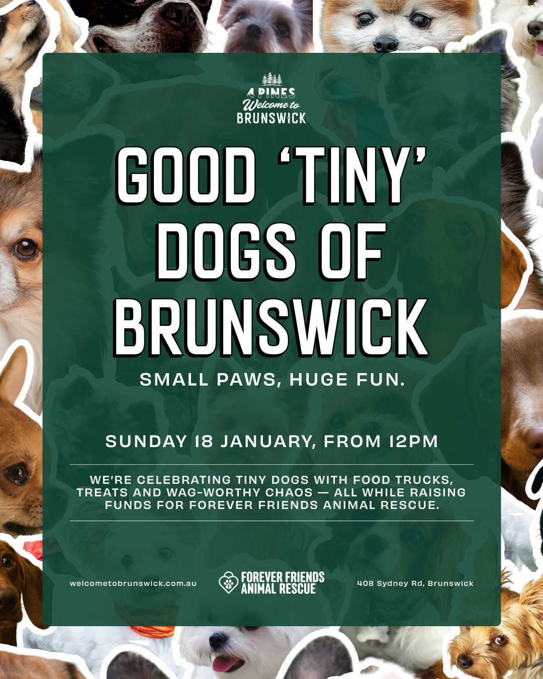 GOOD TINY DOGS OF BRUNSWICK