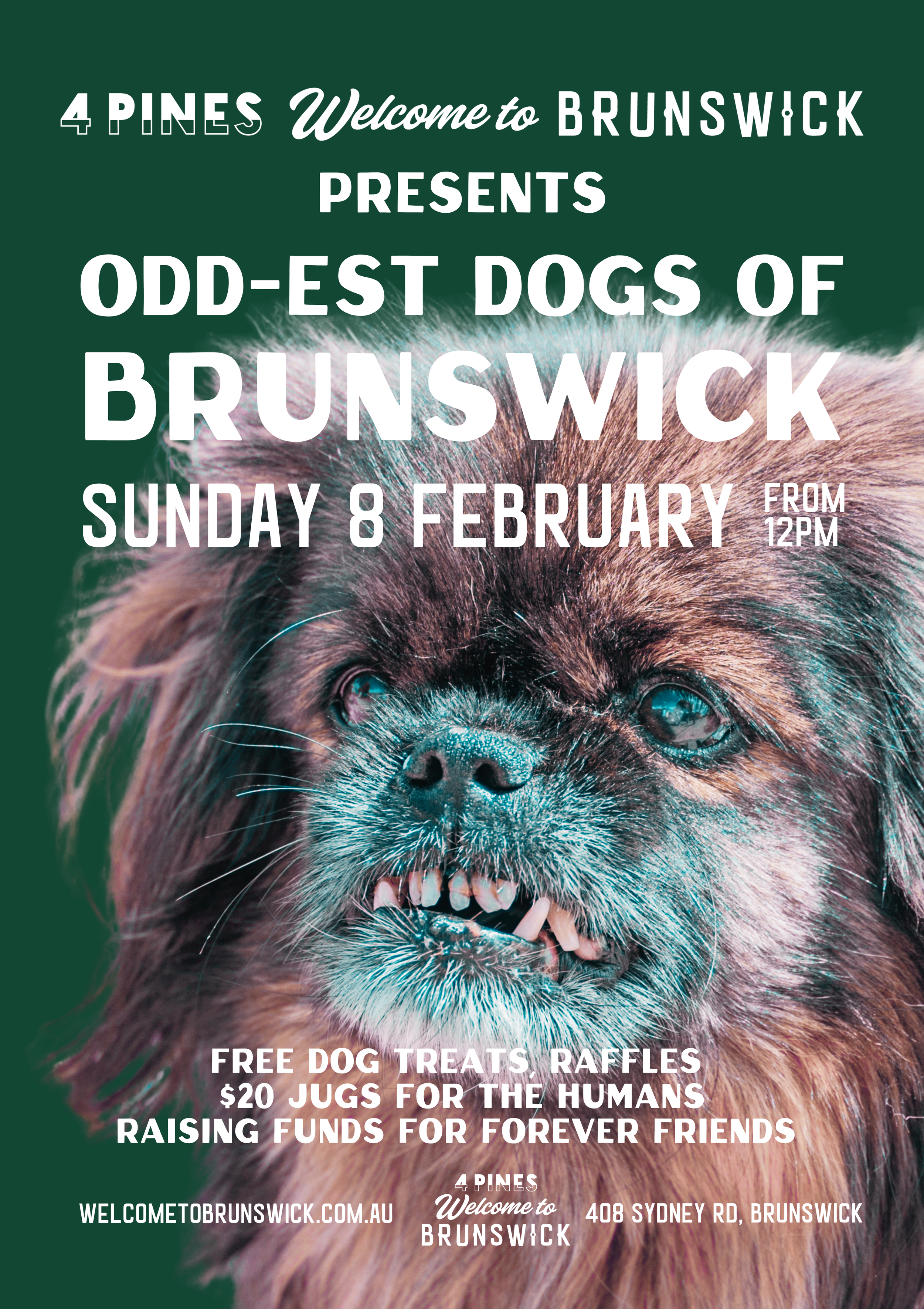 ODD-EST DOGS OF BRUNSWICK