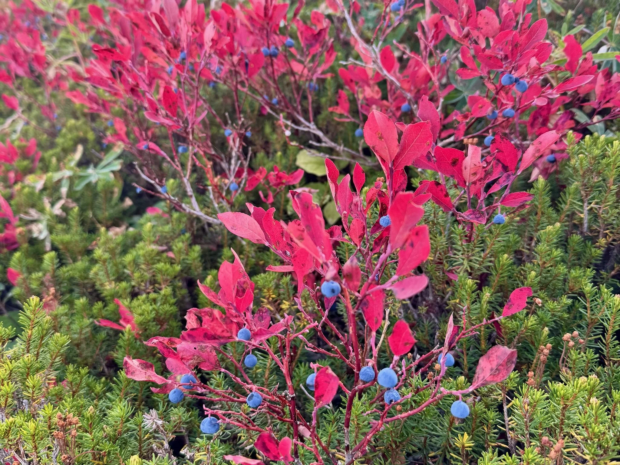 [Re]Imagine the future: Don’t cramp the magic