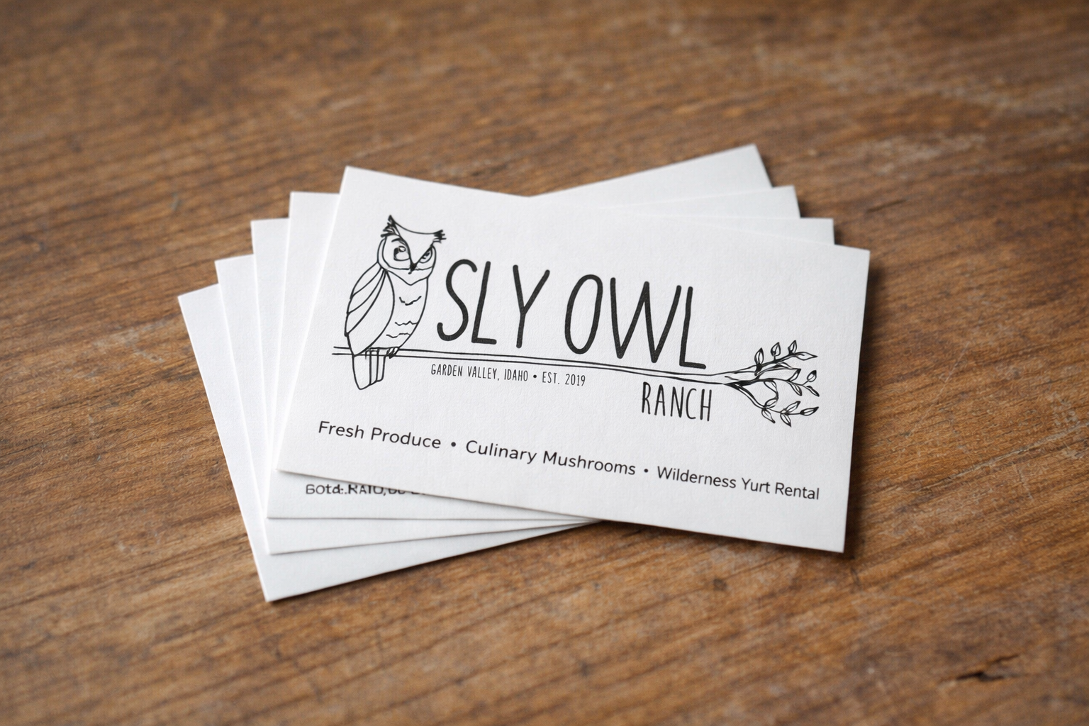 Sly Owl Ranch Brand Development