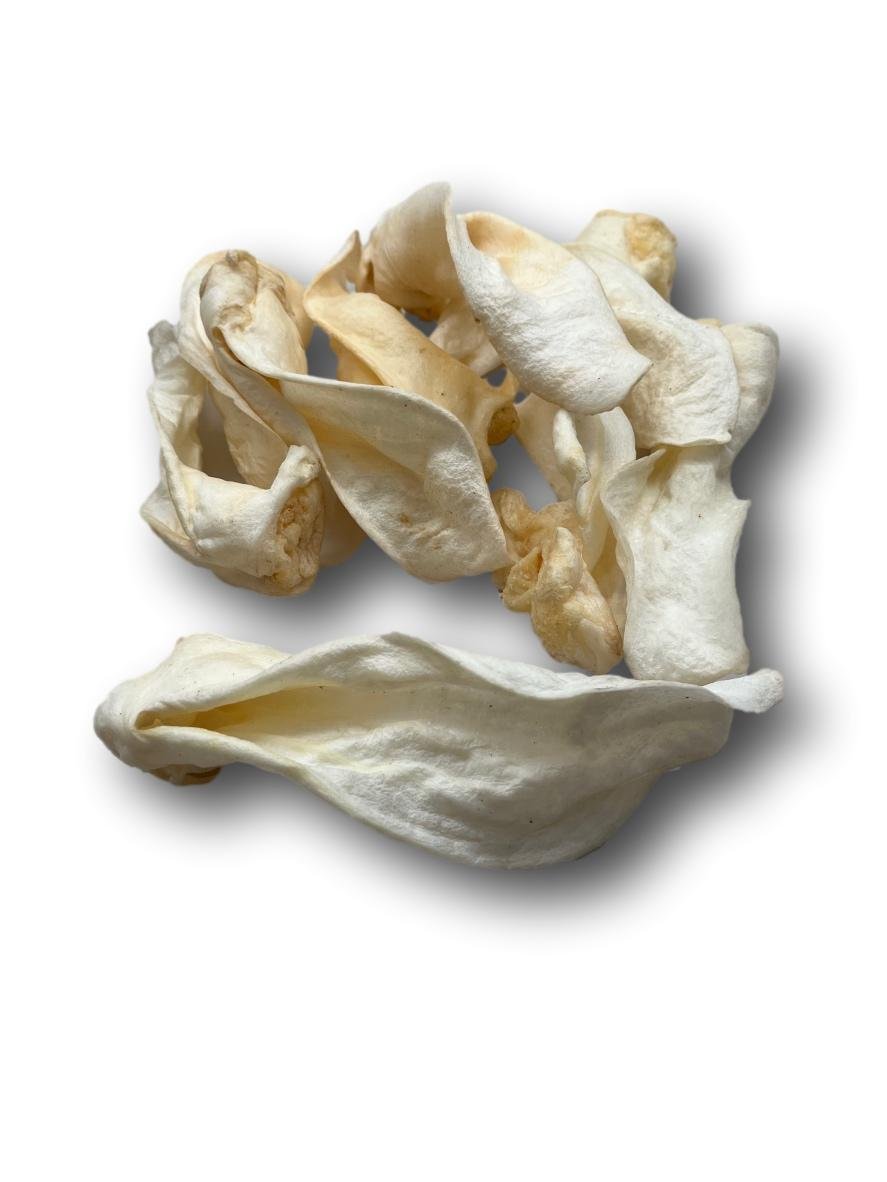 lamb ear.jpeg