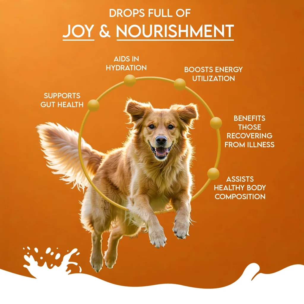 Nature's Sip Goat Milk with Pumpkin4.webp