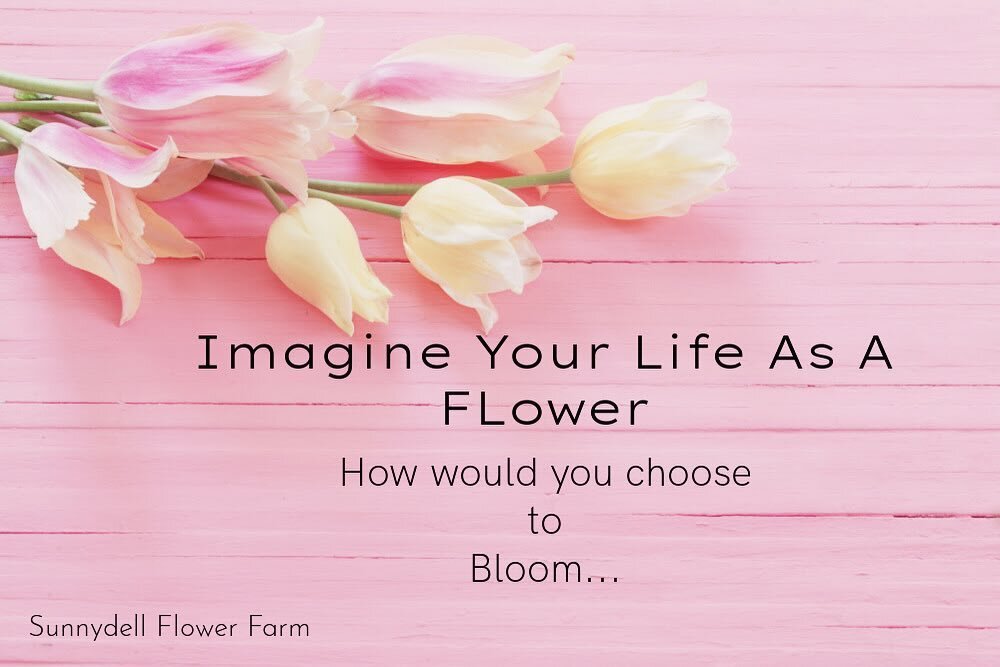 Good Morning My Blooming Friends!🌷💕
🌷April is here🌷💕
🌷While I garden I like to imagine that we are all flowers in a metaphorical sort of way.
🌷Our presence and choices as we connect with others both here and in our &ldquo;real,&rdquo; world im