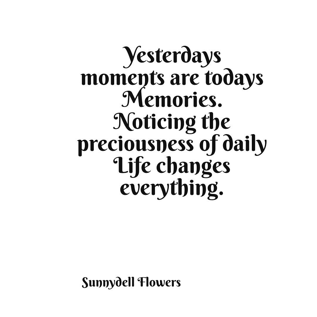 &ldquo;Yesterday&rsquo;s moments are today&rsquo;s memories.
Noticing the preciousness of daily life changes everything.&rdquo;
All the little daily nuances create the painting of our lives.
Wishing you all the best of the best throughout today and t