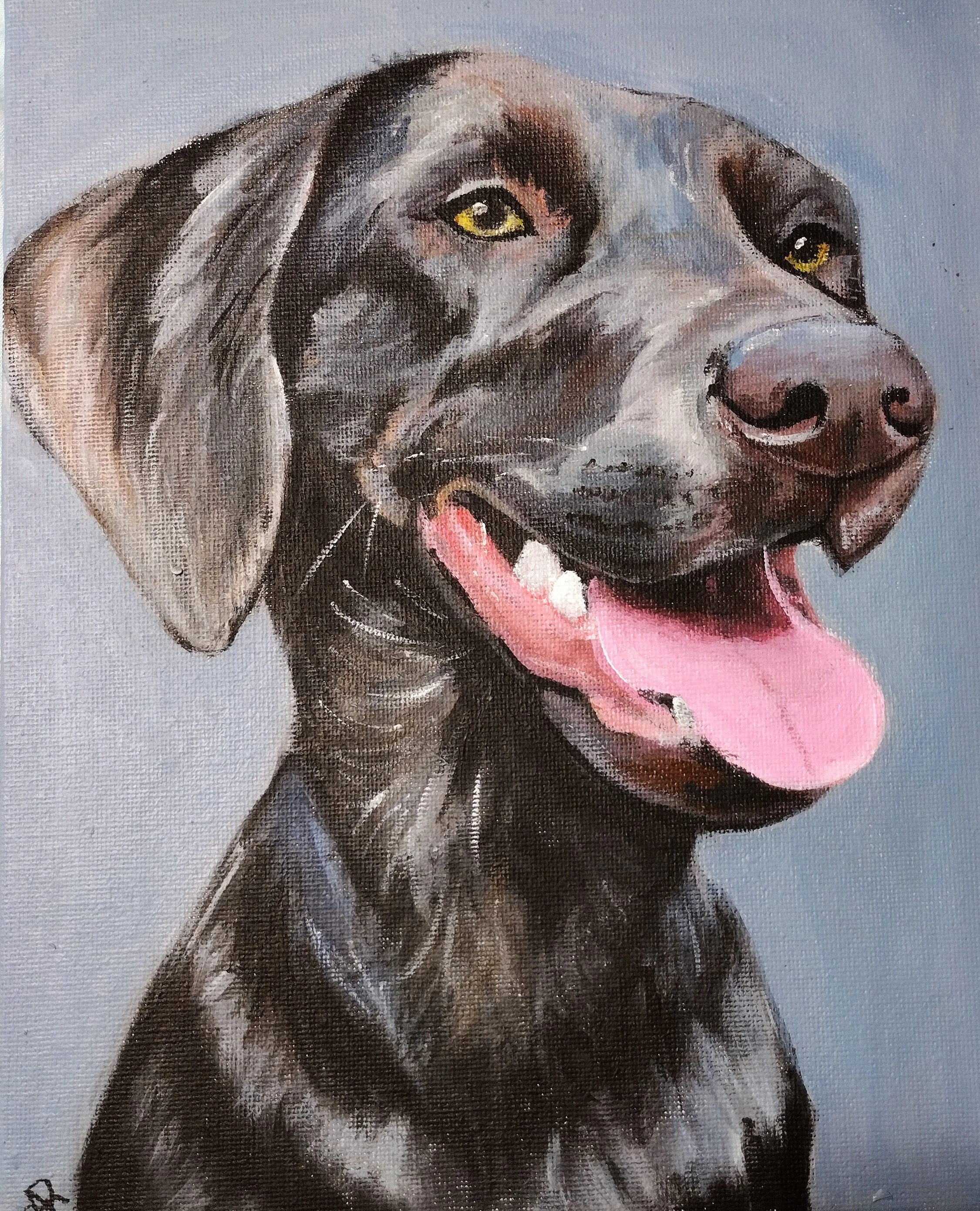 IMG_20231229_170248308 copy.jpg