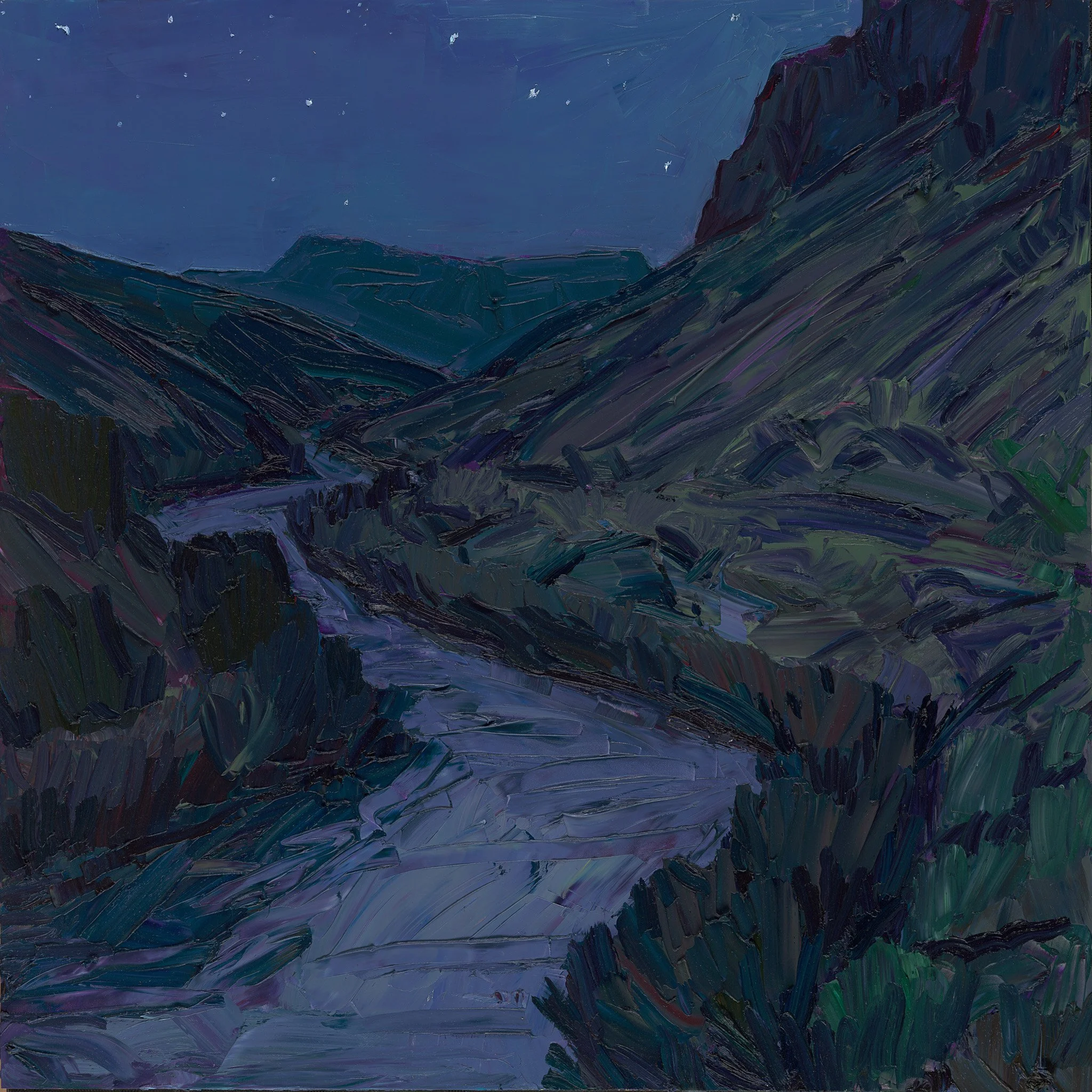 River Bends - Starry night • 30" x 30" • oil on panel • private collection