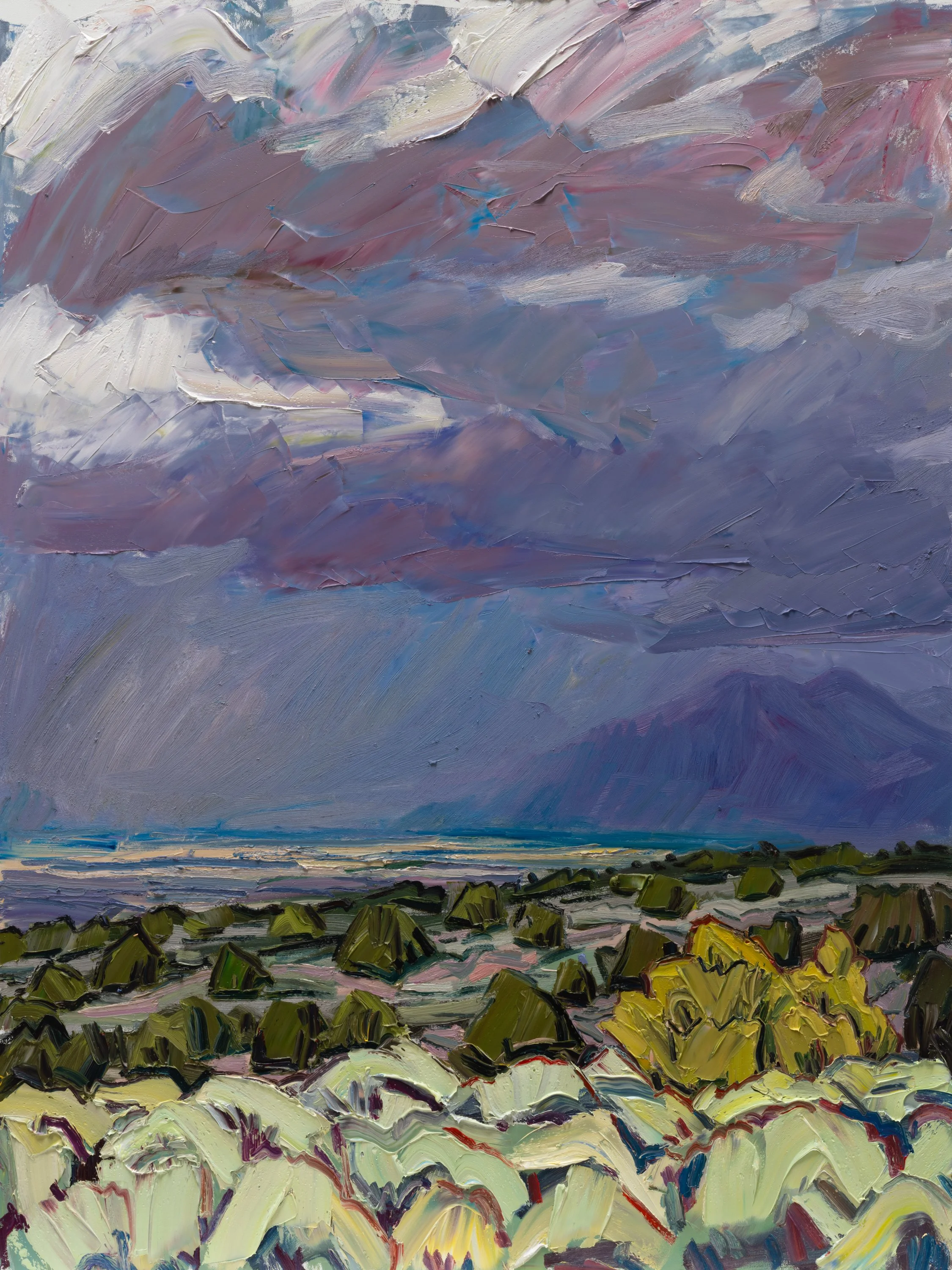 The approach • 48" x 36" • oil on panel • 2026