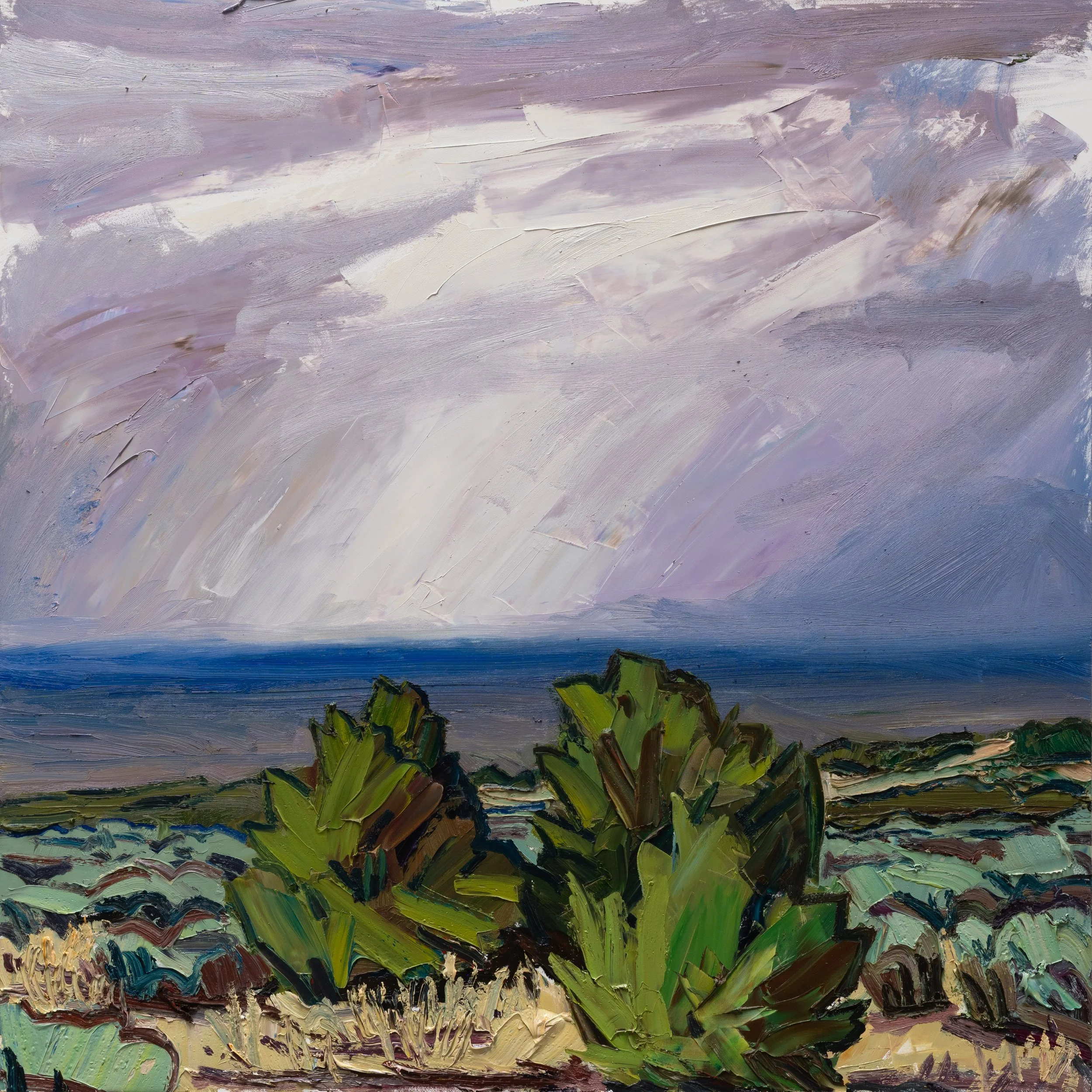 Nearing night • 30" x 30" • oil on panel • 2026