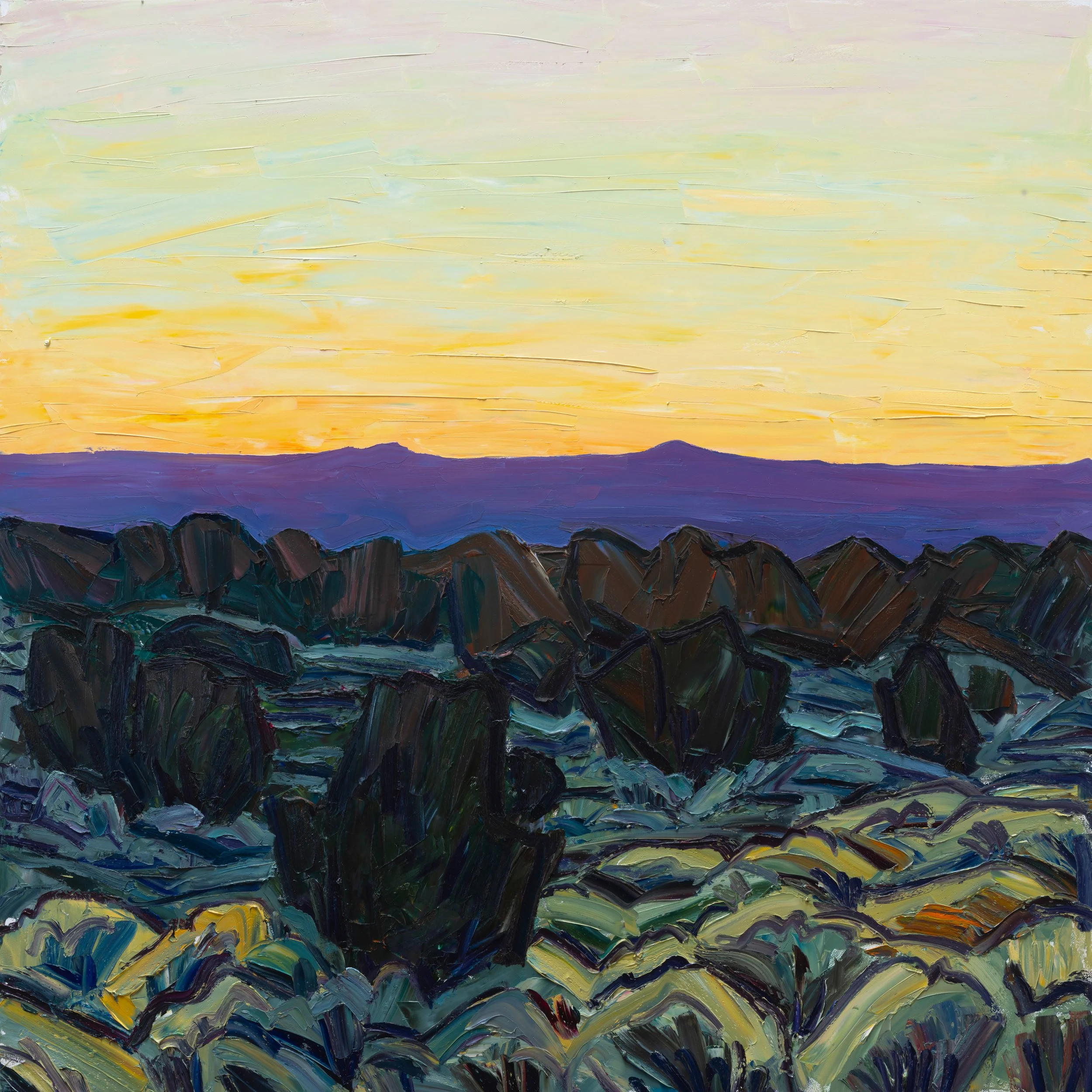 Magenta glow • 48" x 48" • oil on panel 
