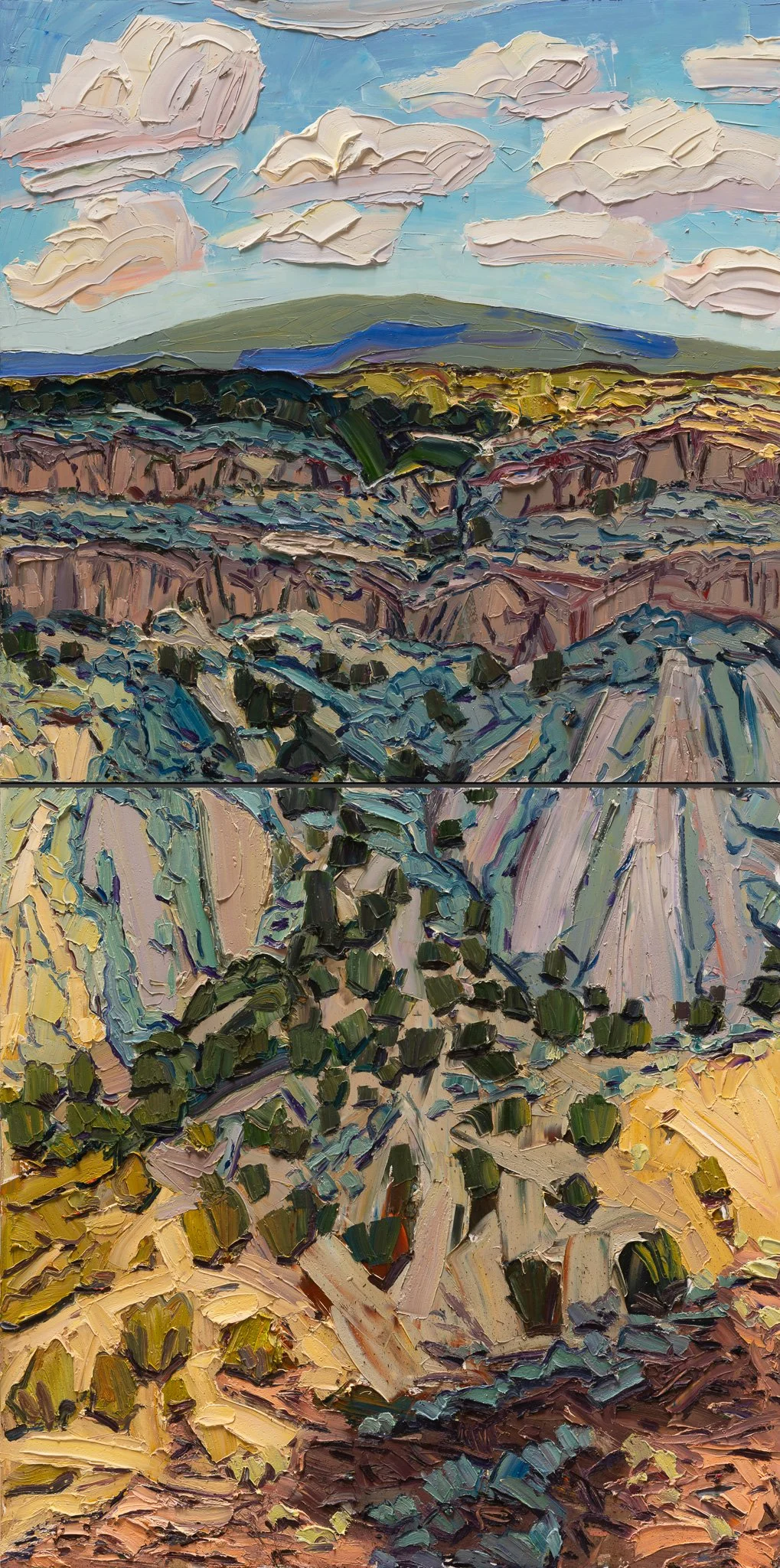 Wild Rivers - From the rim to the river • 60" x 30" • oil on two panels 