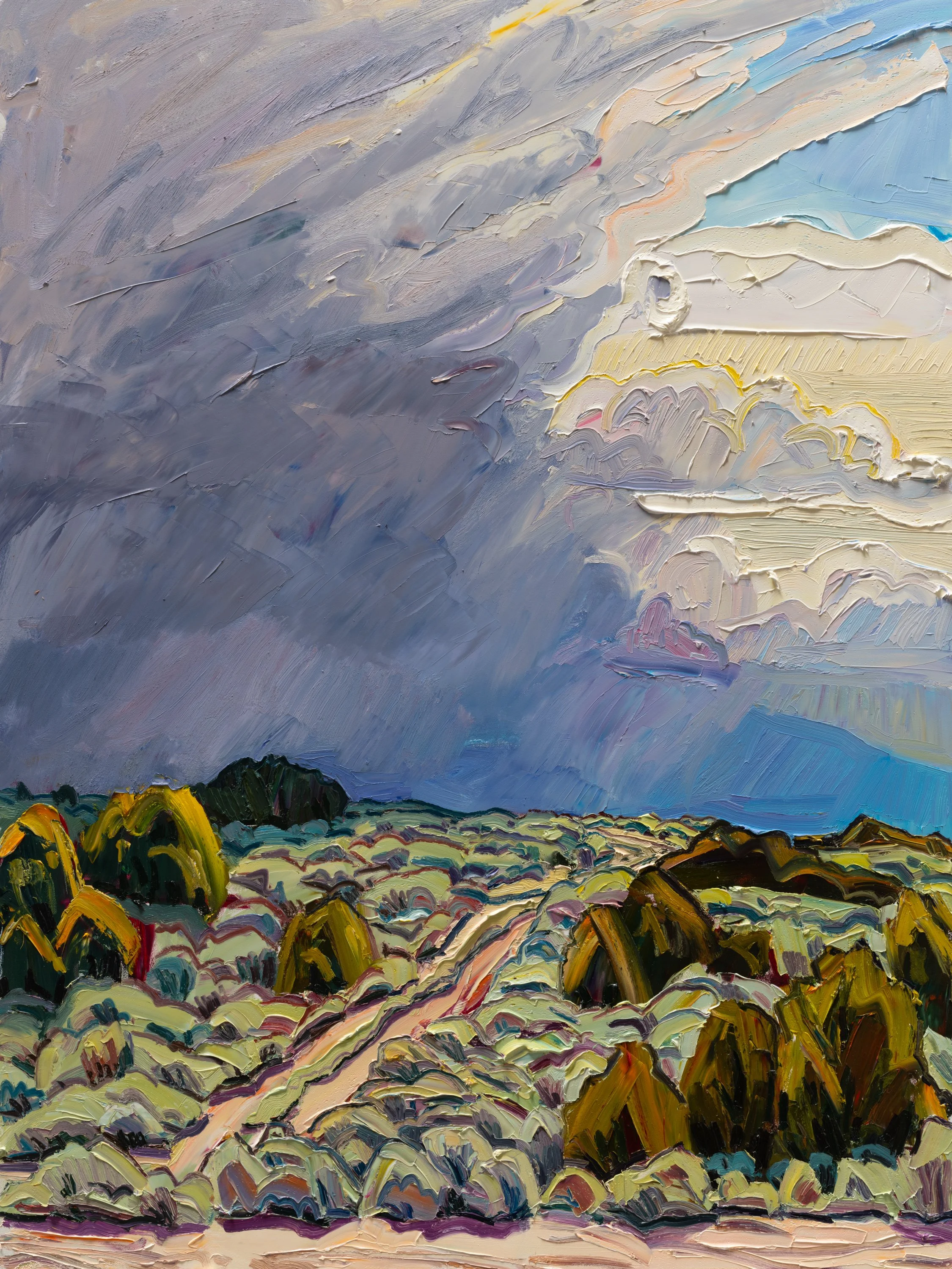 Path to the western range • 48" x 36" • oil on panel • 2026