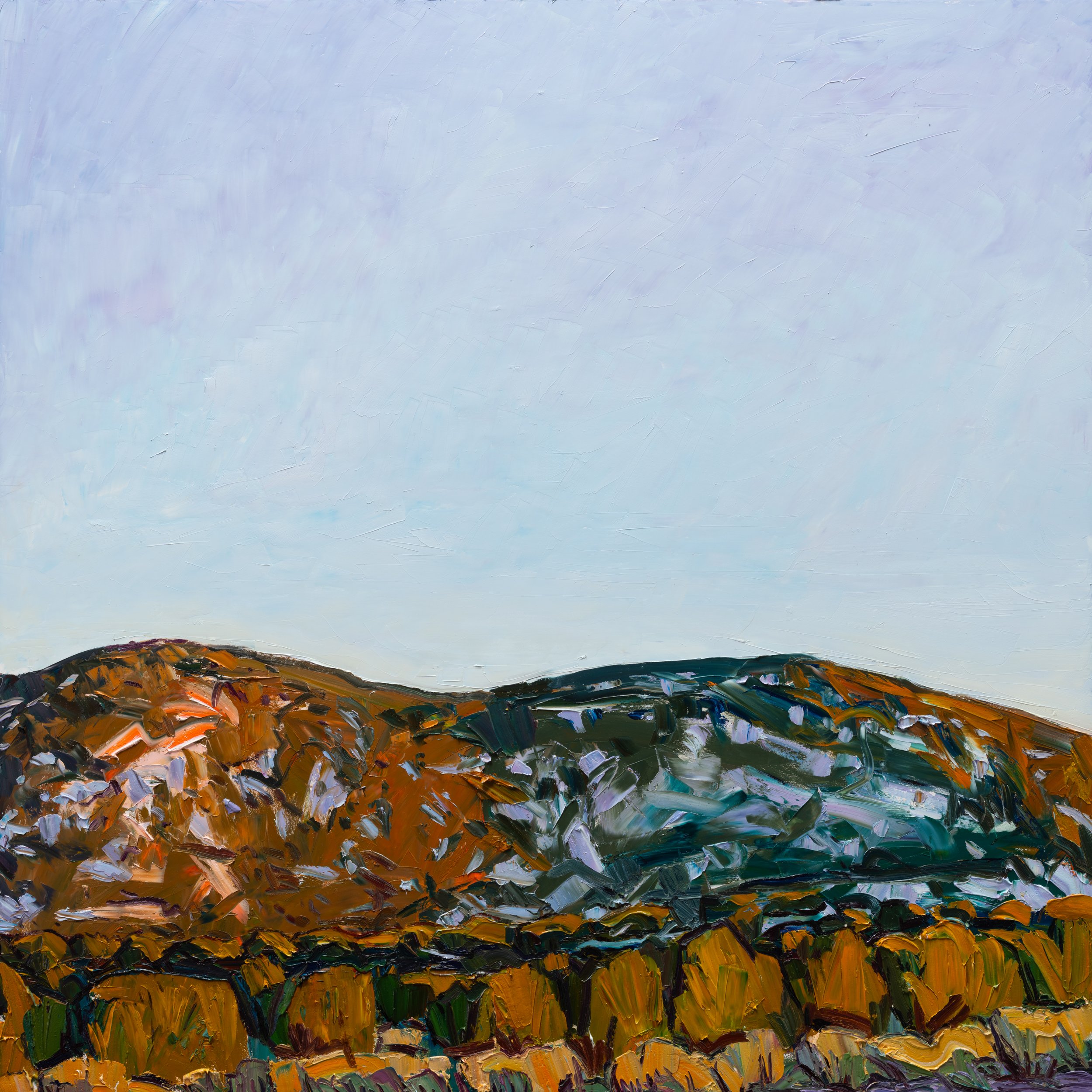 Southeast (Sundown) • 48" x 48" • oil on panel • 2023