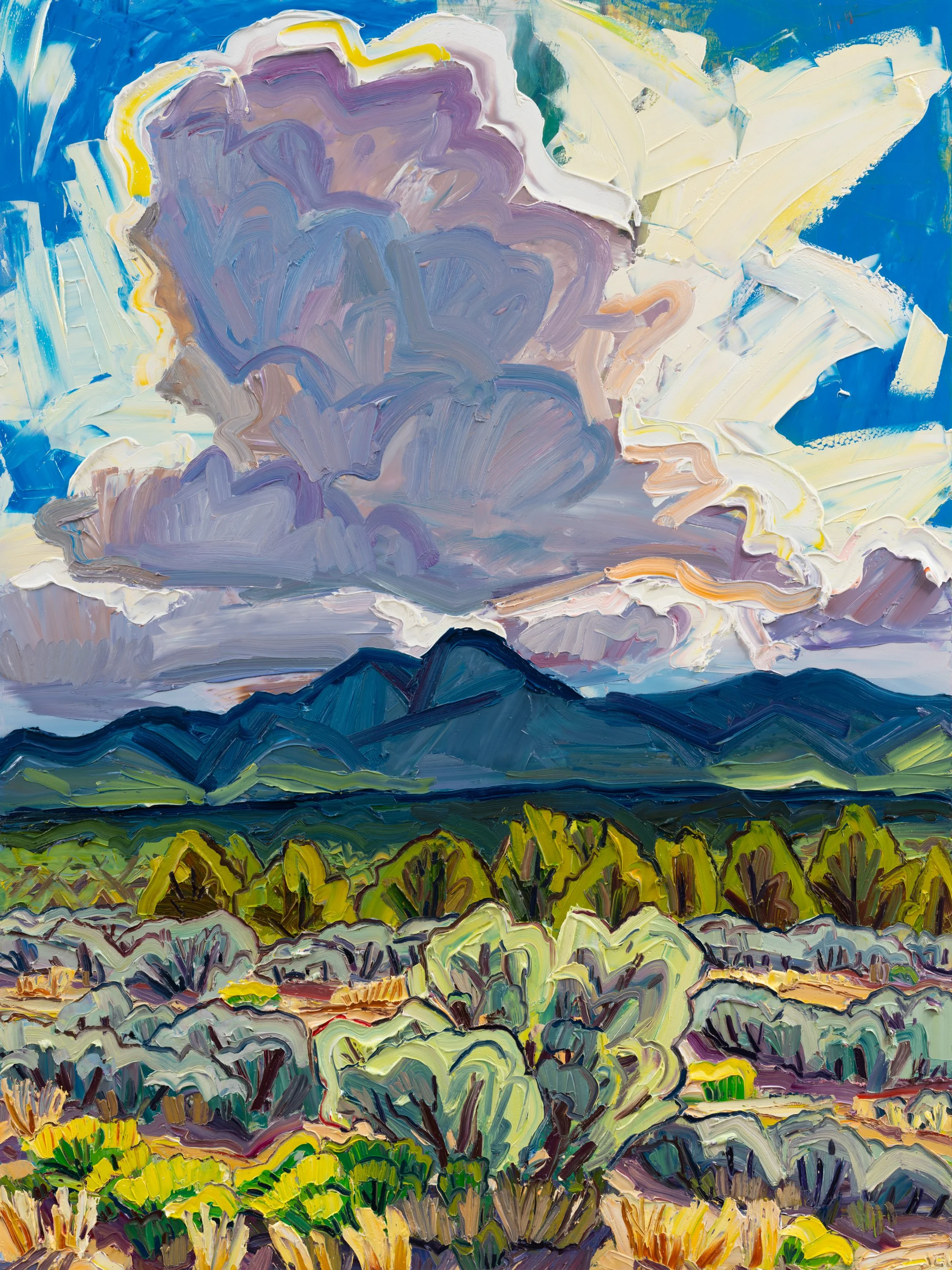 Wild eyes • 48" x 36" • oil on panel • 2026