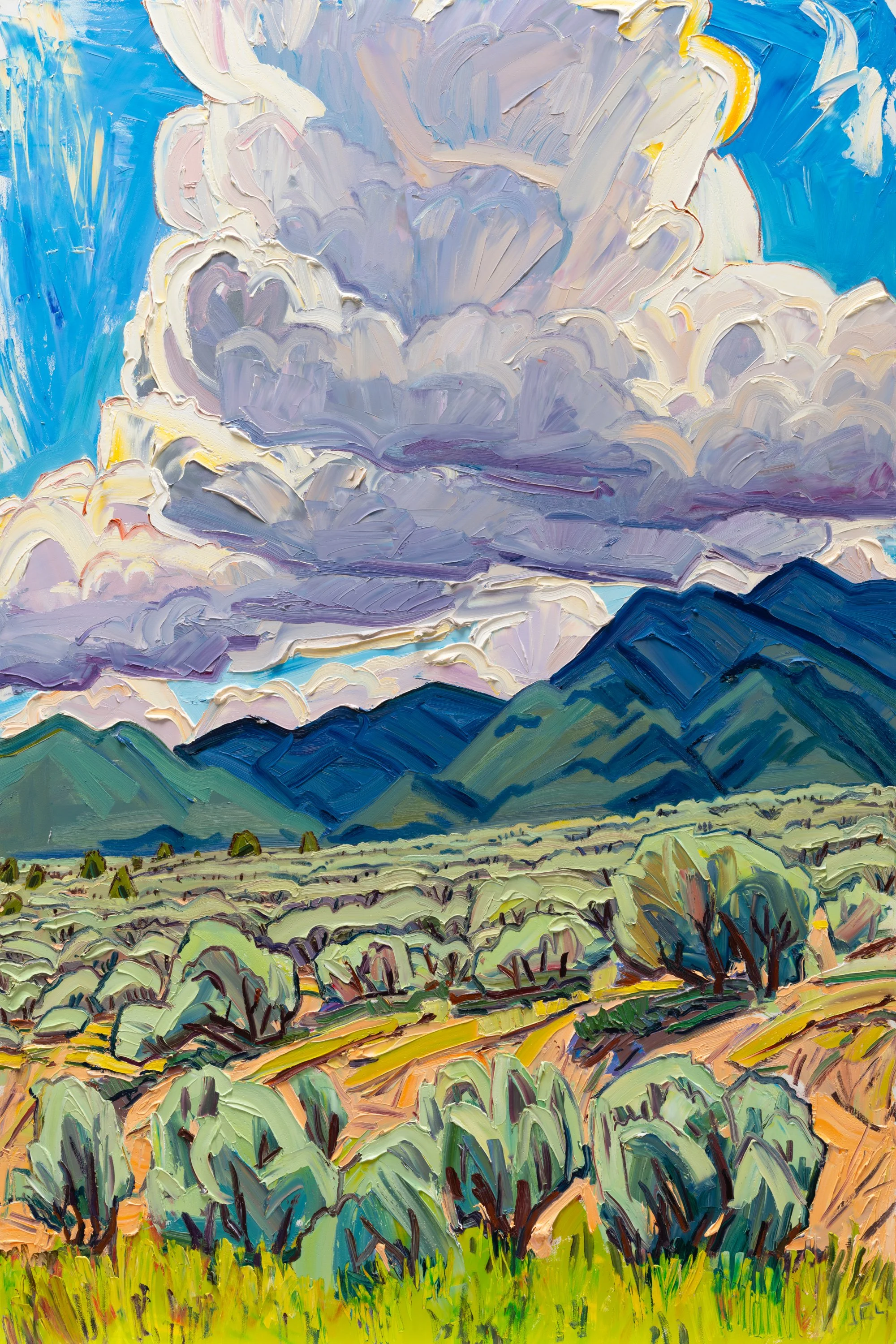 Happy Birthday (42) - Fun • 60" x 40" • oil in panel • 2026