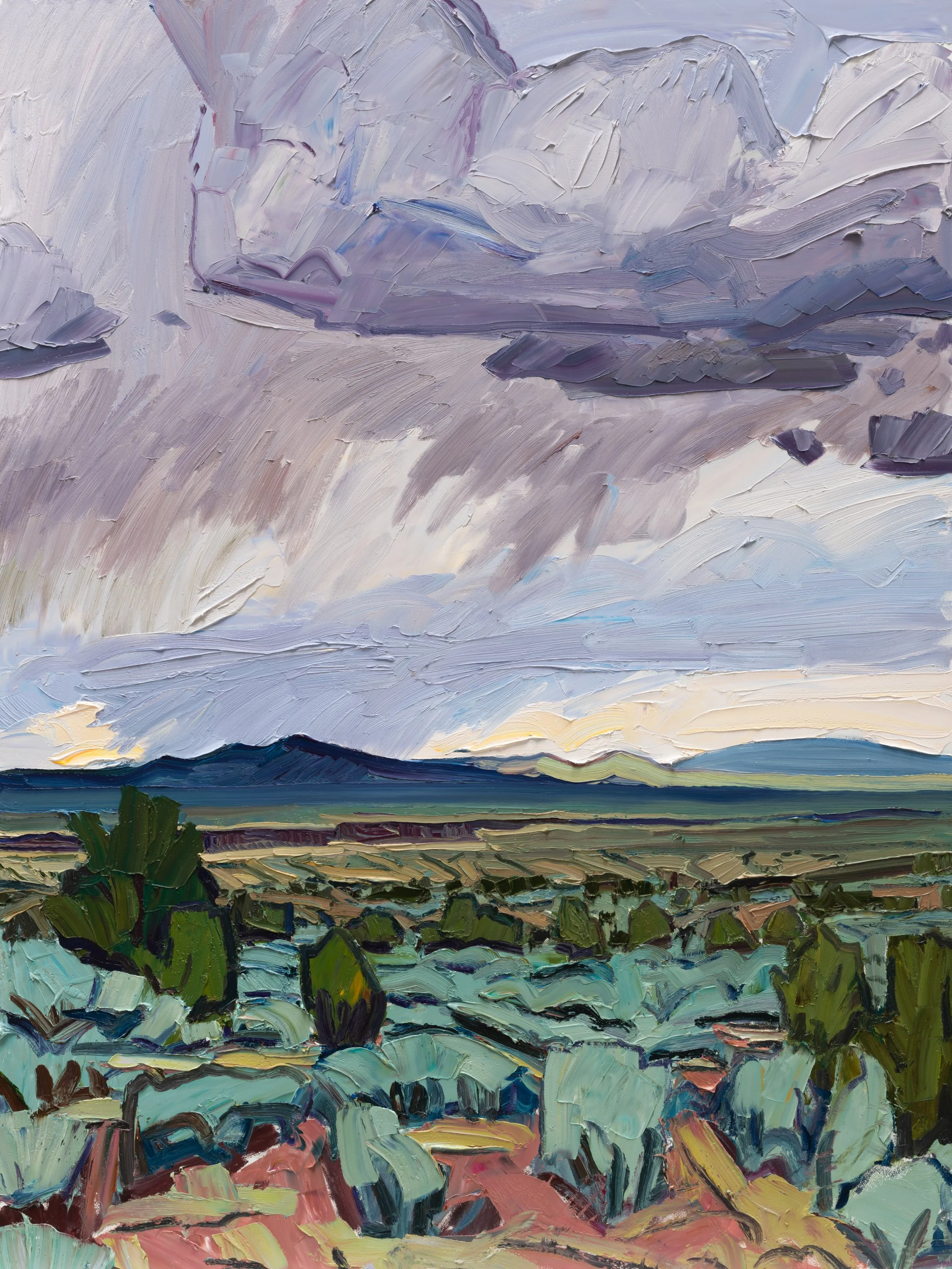 Storms down #1 • 48" x 36" • oil on panel • 2026