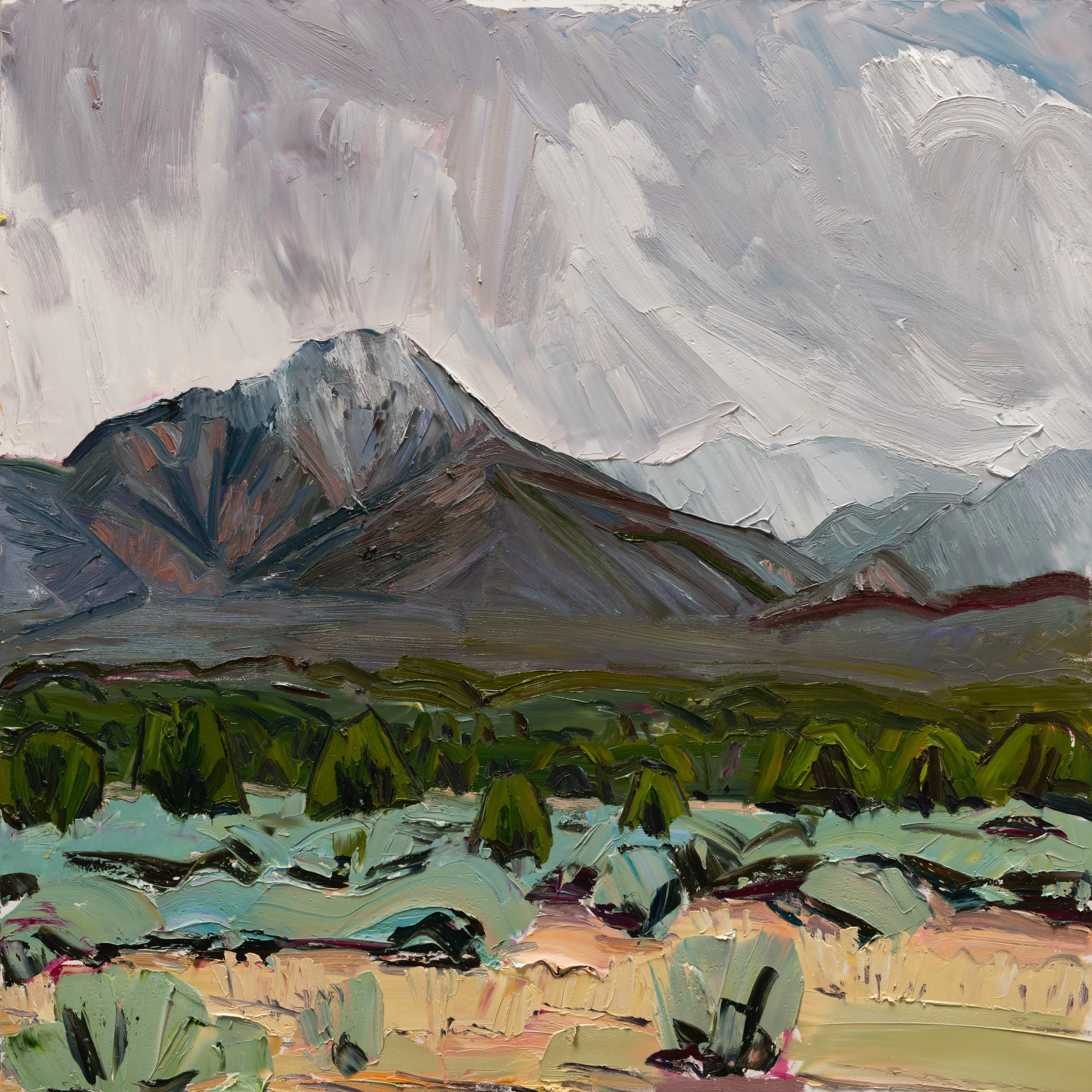 Picuris - Squall line • 30" x 30" • oil on panel • 2026