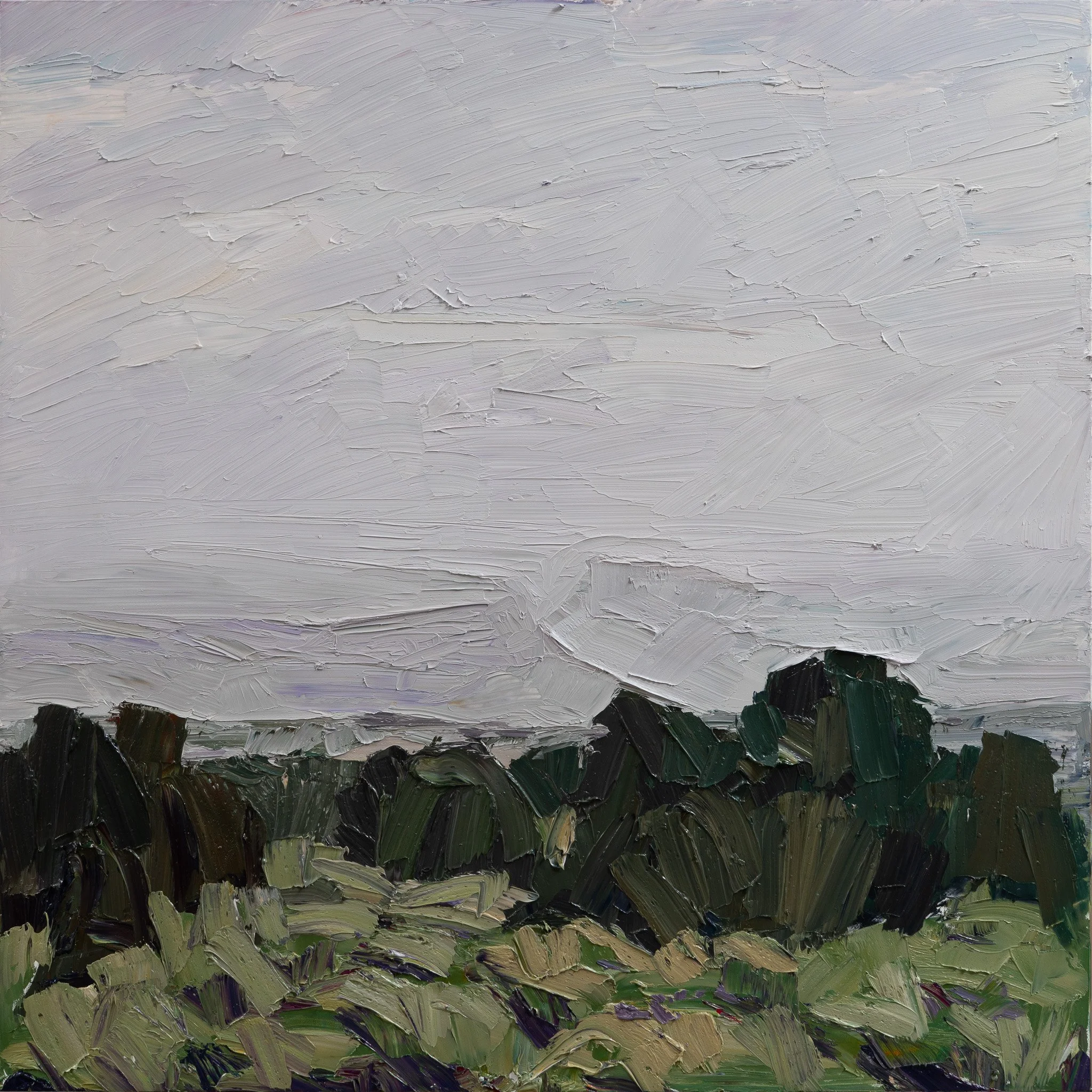 Monument #12 - Rain veil • 30” x 30” • oil on panel • private collection