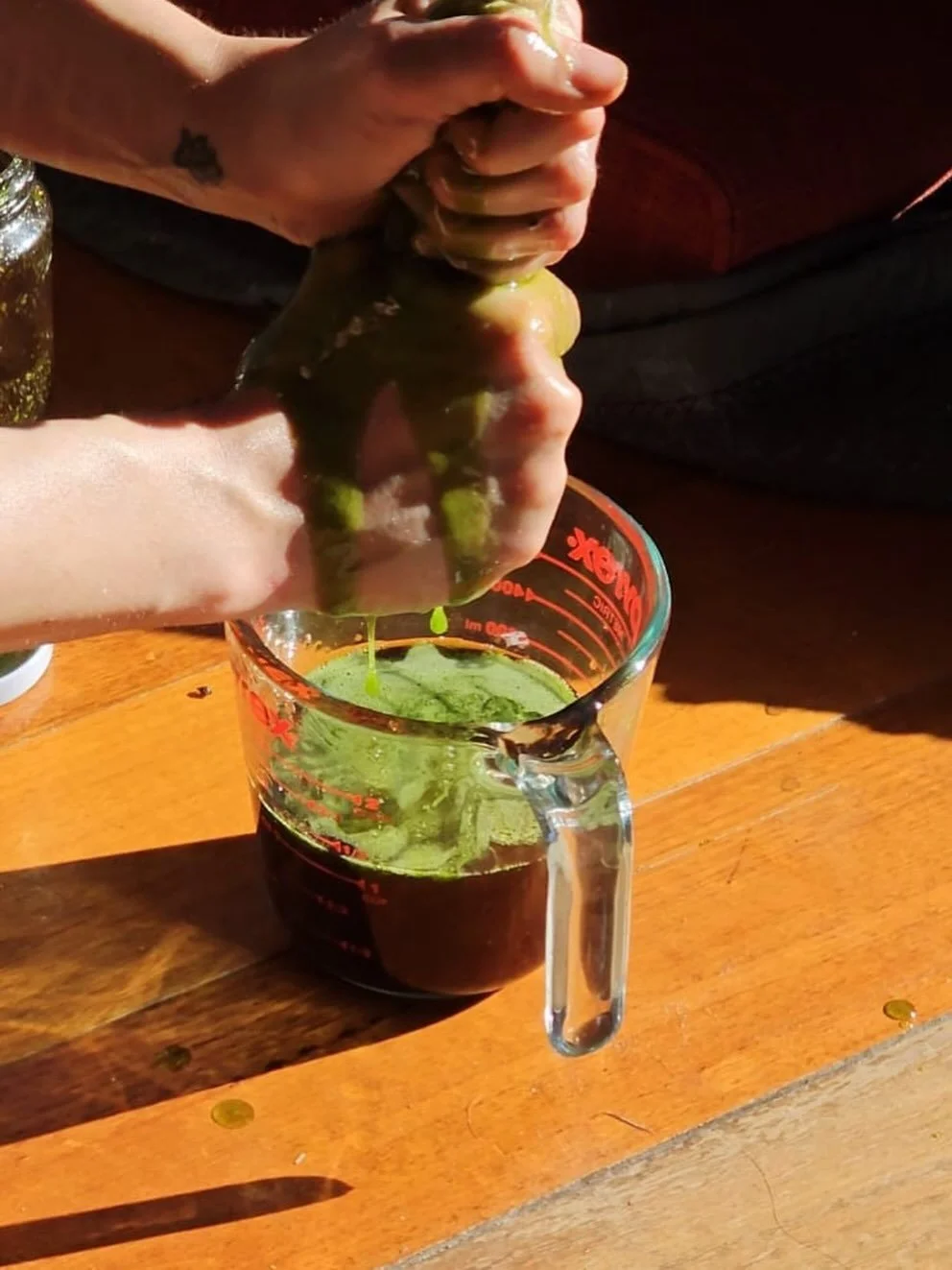 Only a couple tickets left for the balm making workshop on December 14 - part of the co-op&rsquo;s Grow, Gather and Graze workshop series. Don&rsquo;t miss out if you were thinking that it might be fun to learn all sorts of plant things and then make