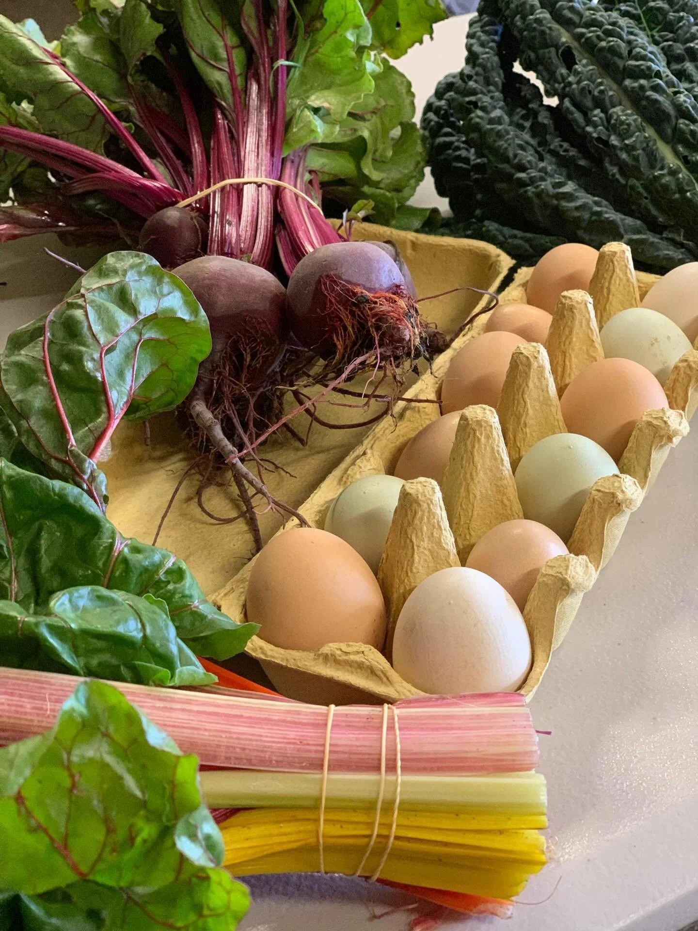 Happy New Year.
The co-op is back in action for 2026 - we are open Saturday from 12-2pm (note new trial hours) and we will have fresh vegetables including new season garlic and a smattering of heirloom cherry tomatoes and green beans, we also have a 