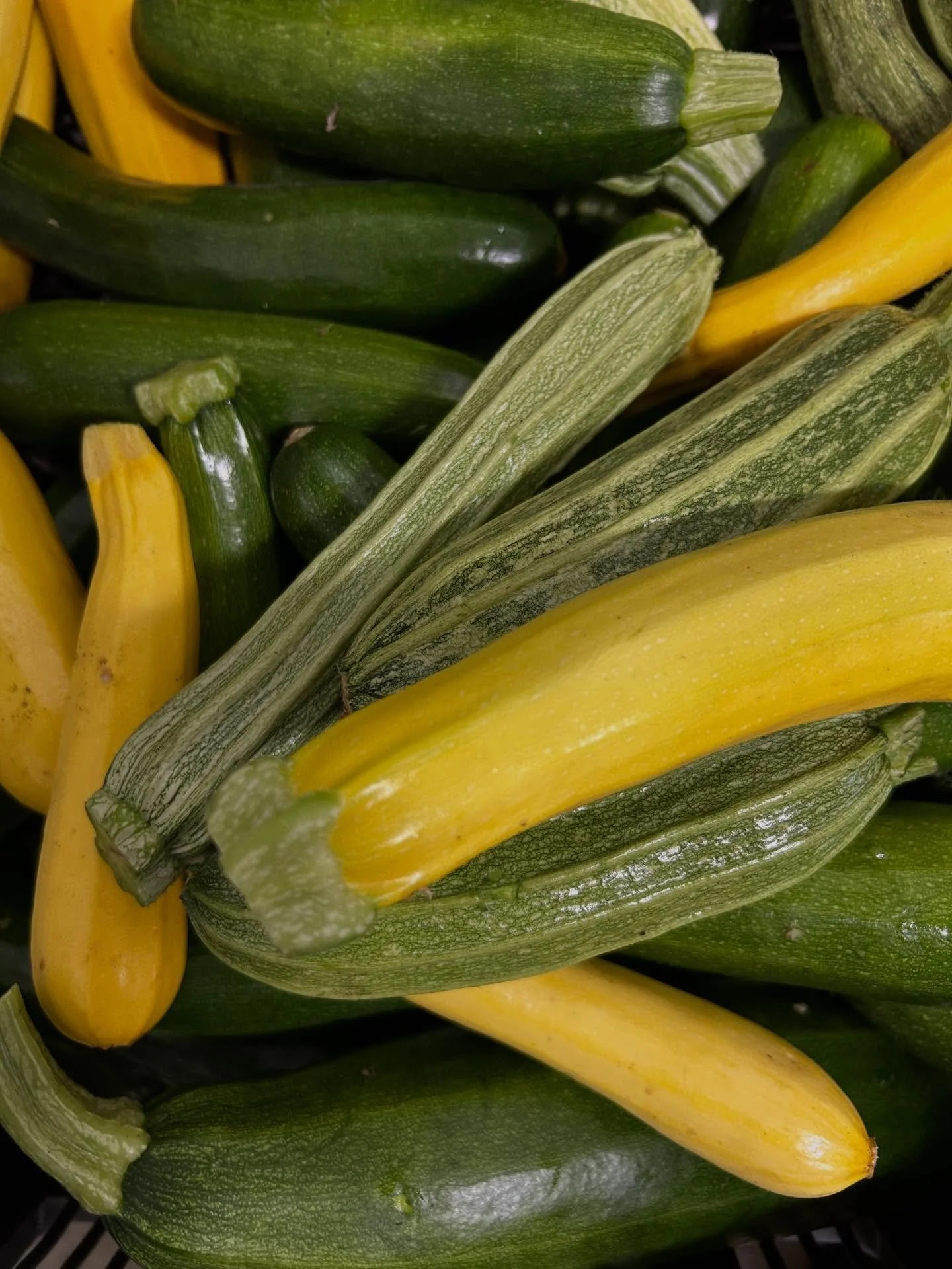 It&rsquo;s here! Zucchini season (there&rsquo;s a great recipe shared in our story at the moment) and we will have some at the Co-op tomorrow, remember our new hours 12-2pm Hit up the market, grab your coffee and crepes then come and see us for you f