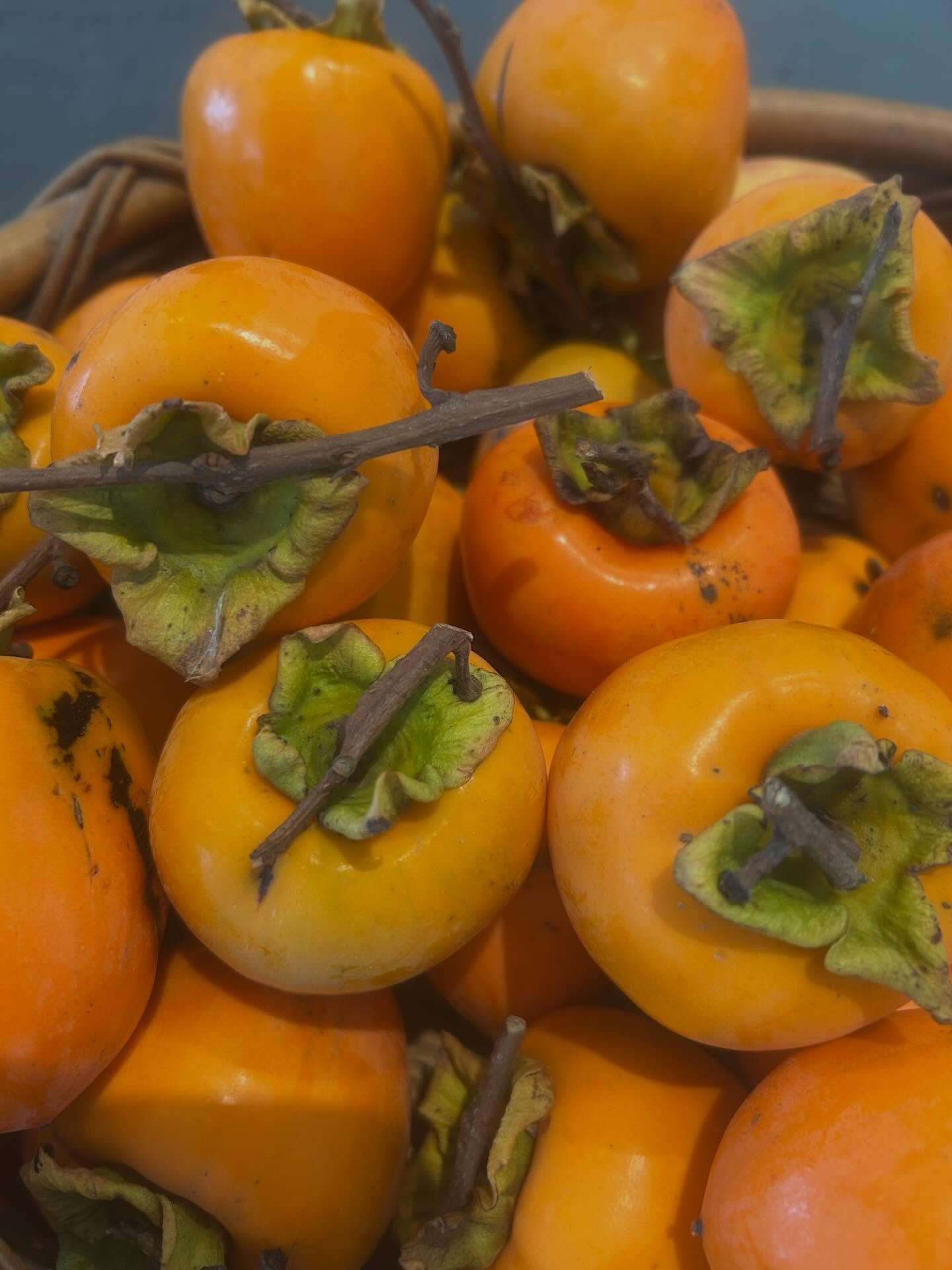 🍂 Have you discovered persimmons yet?

Often called the &ldquo;food of the gods,&rdquo; persimmons are one of autumn&rsquo;s most underrated fruits. A deciduous tree, when the leaves fall you are left with a tree full of spectacular orange baubles l