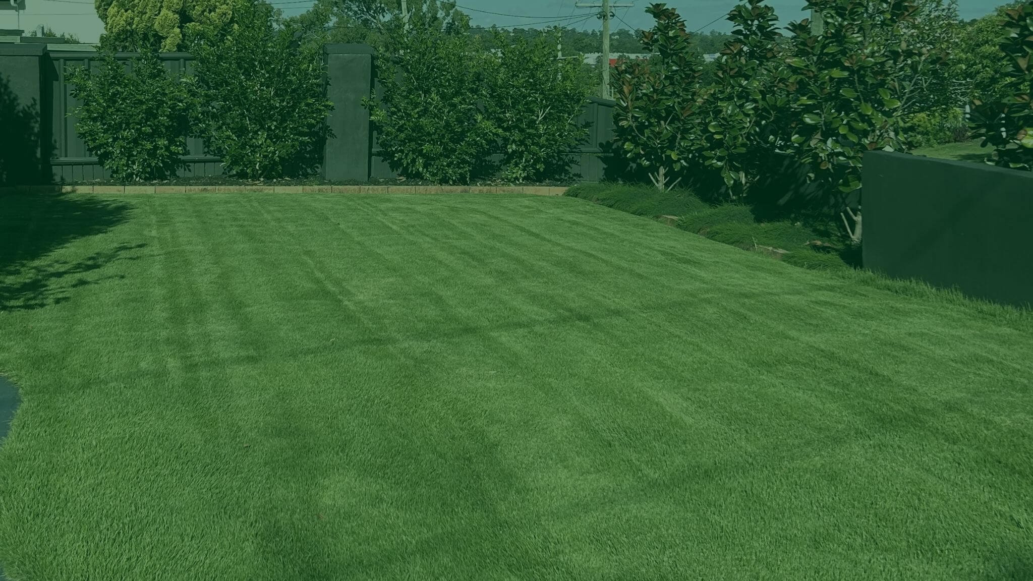 Low Maintenance Turf Brisbane, Ipswich & Gold Coast | Easy Care Grass ...