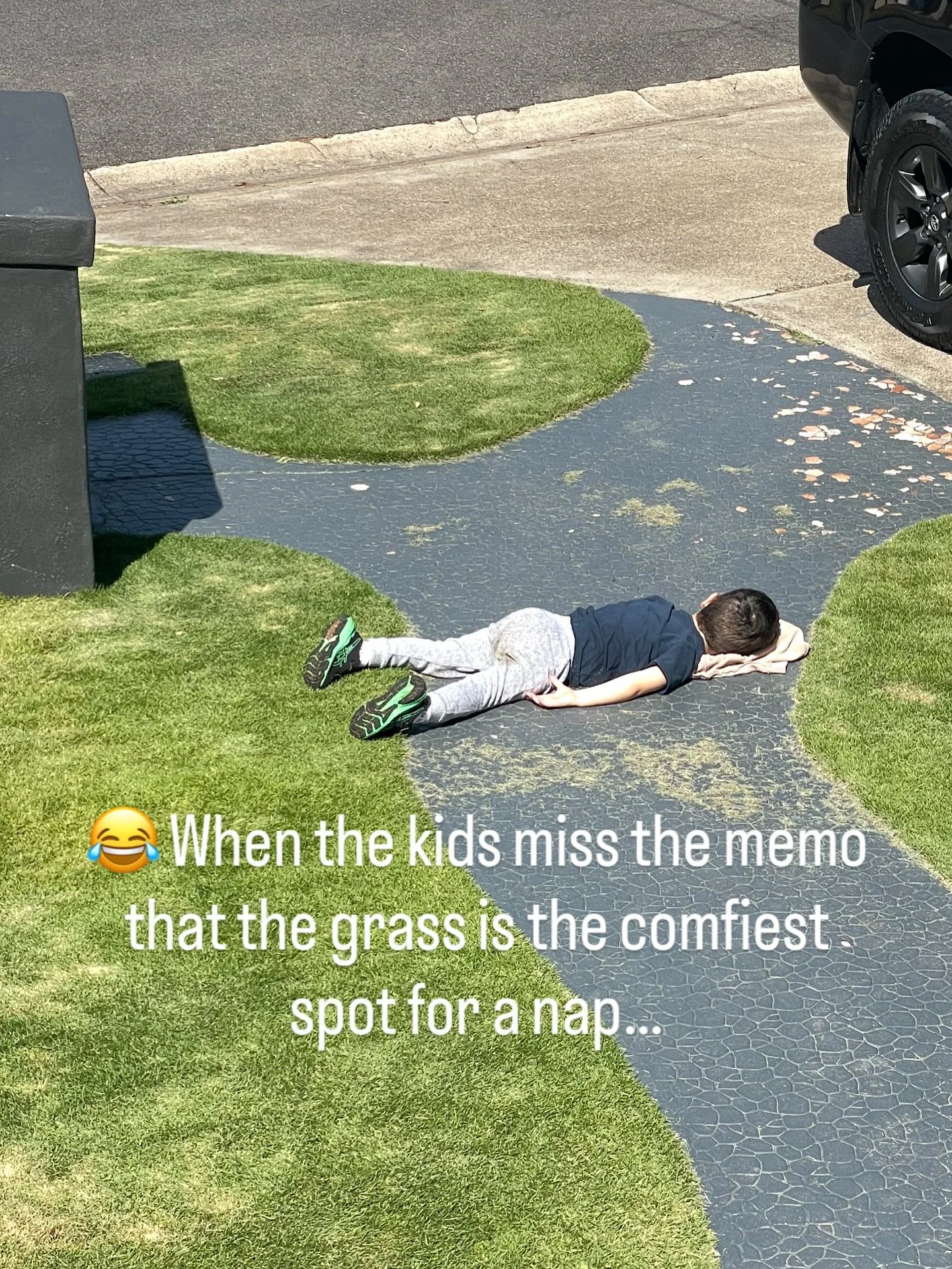 We spend all this time growing the softest, lushest lawn around, and this bloke reckons the concrete’s the place for a snooze. 🤦‍♂️🌿
#ParentingWins #BackyardLegends #TheTurfShed #KidLogic
