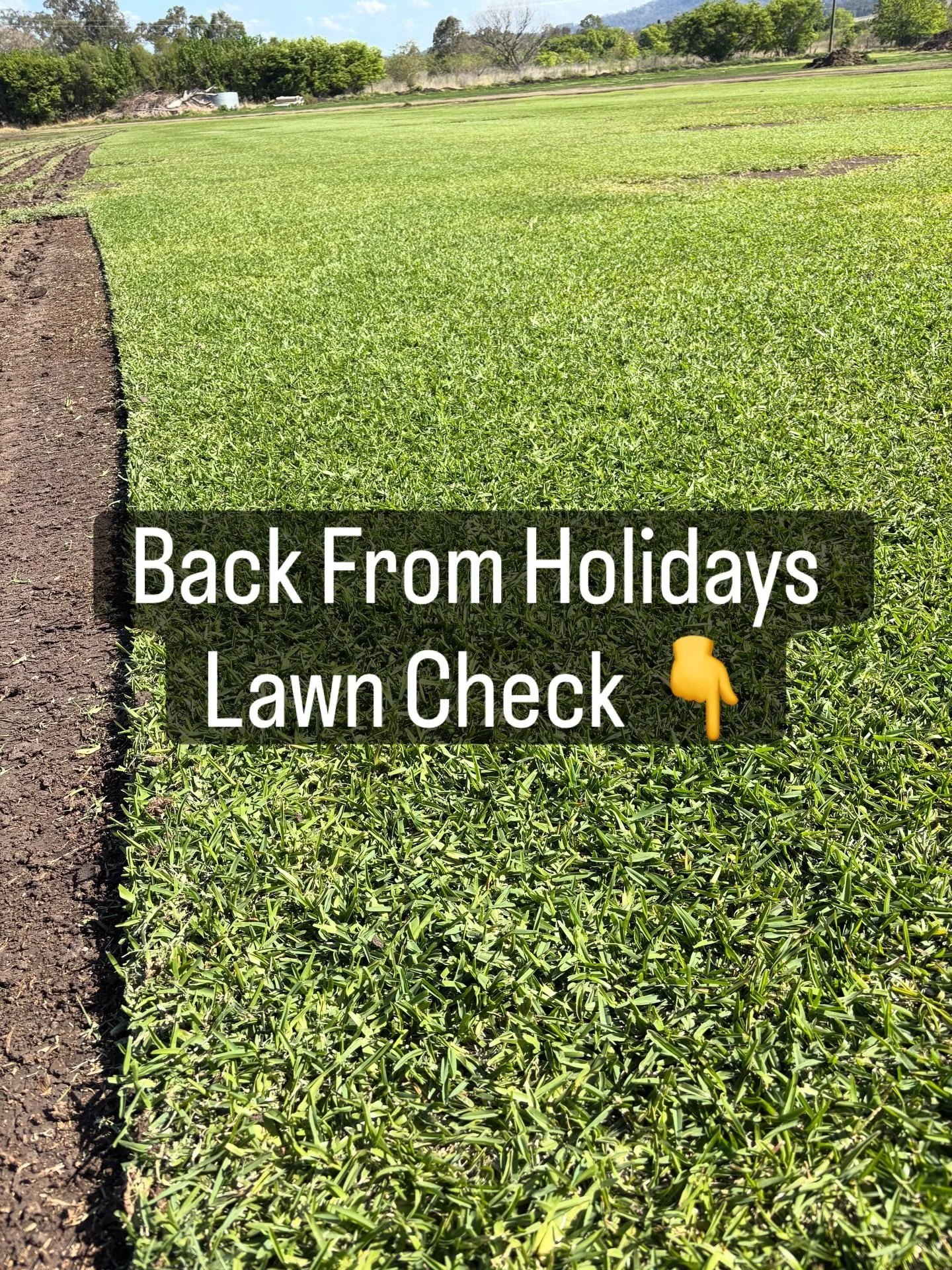 Just got back from holidays and your lawn looks crispier than a servo hash brown at 3pm?
Yep. Classic January.

If it&rsquo;s brown, crunchy, curled at the tips or patchy like a dodgy spray tan, here&rsquo;s your quick rescue plan.

💦 Watering

Give