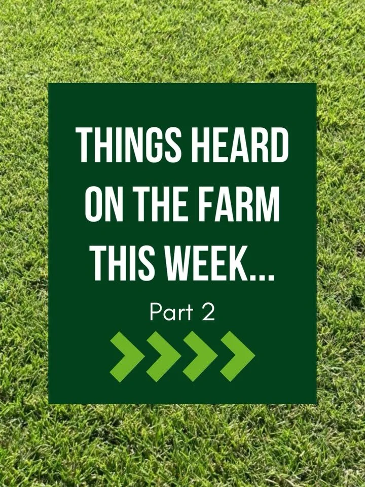 🌱 Things Heard on the Farm This Week (part 2)
Real quotes. Real people. Real farm logic that probably shouldn&rsquo;t be written down.

&ldquo;It&rsquo;ll buff out.&rdquo;
&ndash; Adam, staring at something that absolutely will not buff out.

&ldquo