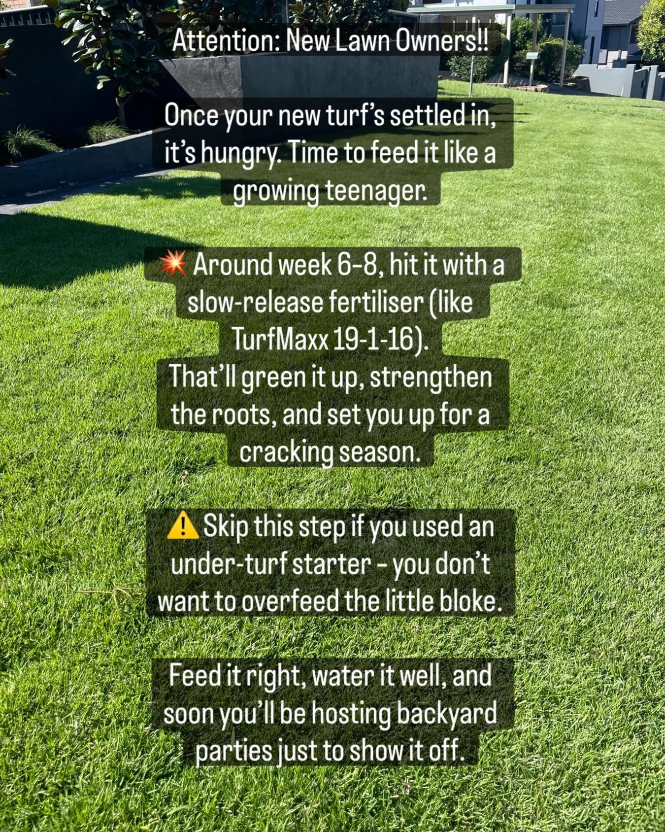 Or, if you just need to start fresh.. you know where to go! 📞 0417 852 444 | https://theturfshed.com.au/online-order-form
#TheTurfShed #FertiliserFacts #BackyardBeauty #GrassGoals