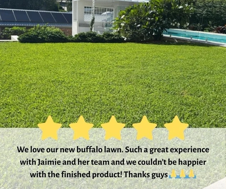 Lauren&rsquo;s lawn&hellip; yeah, it&rsquo;s doing better than most of us right now 😅

Rolled out in Sir Walter Buffalo and absolutely loving life. Soft underfoot, handles the chaos of kids and pets, and still turns heads every time you step outside