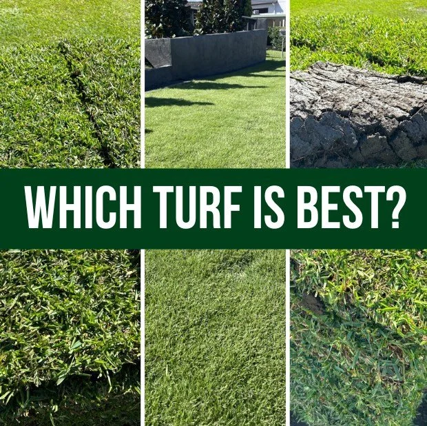 🚫 STOP buying turf based on what looks good in someone else&rsquo;s yard

Most people don&rsquo;t have a bad lawn&hellip;

They&rsquo;ve just got the wrong turf for their yard.

And no amount of watering, fertilising or yelling at it is going to fix