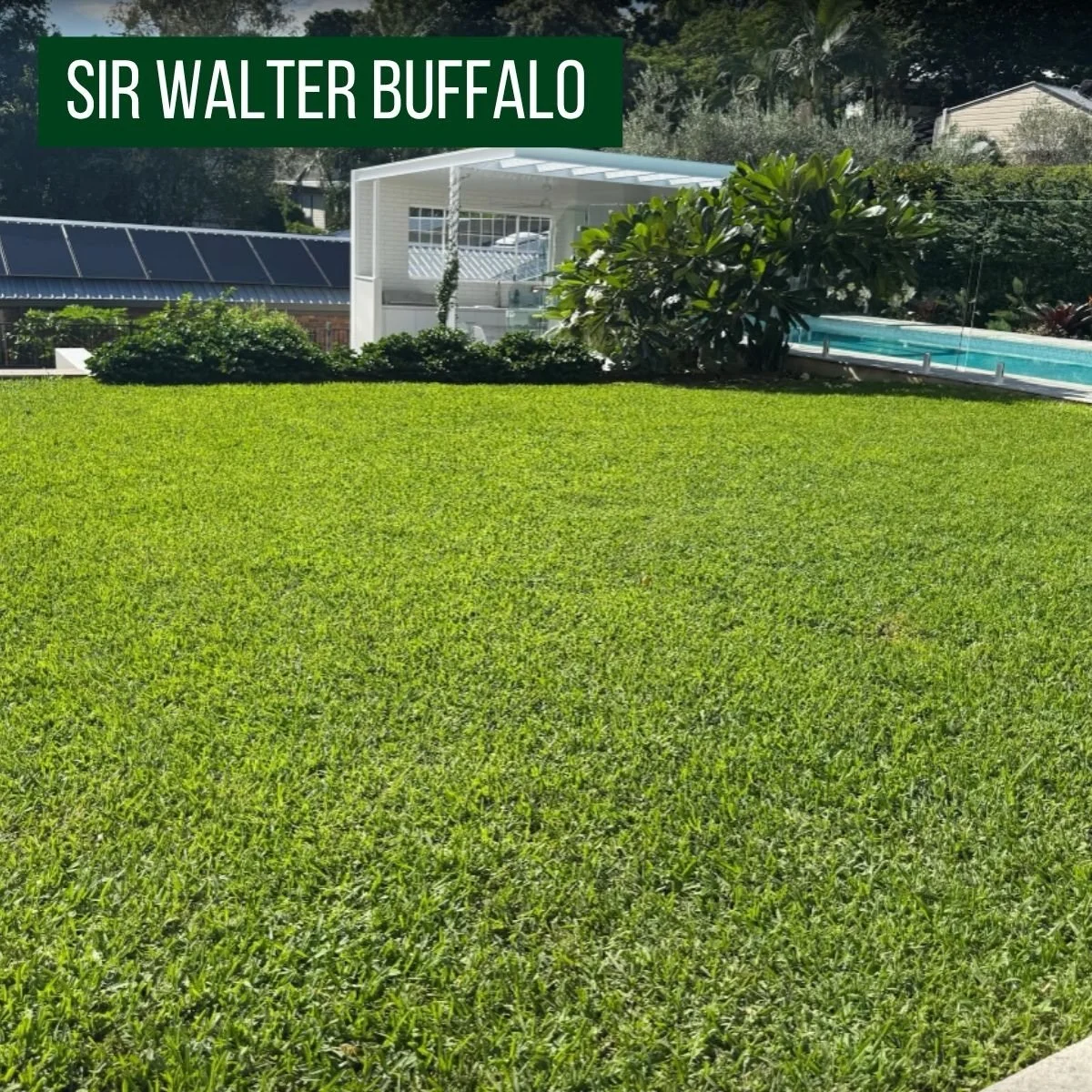 Kids back at school&hellip; lawn&rsquo;s finally safe again 😅

No more bikes, footy tackles, or snack-time picnics tearing it up&hellip;
which means it&rsquo;s go time to sort that new lawn you&rsquo;ve been putting off.

Whether your place is:
🌳 S