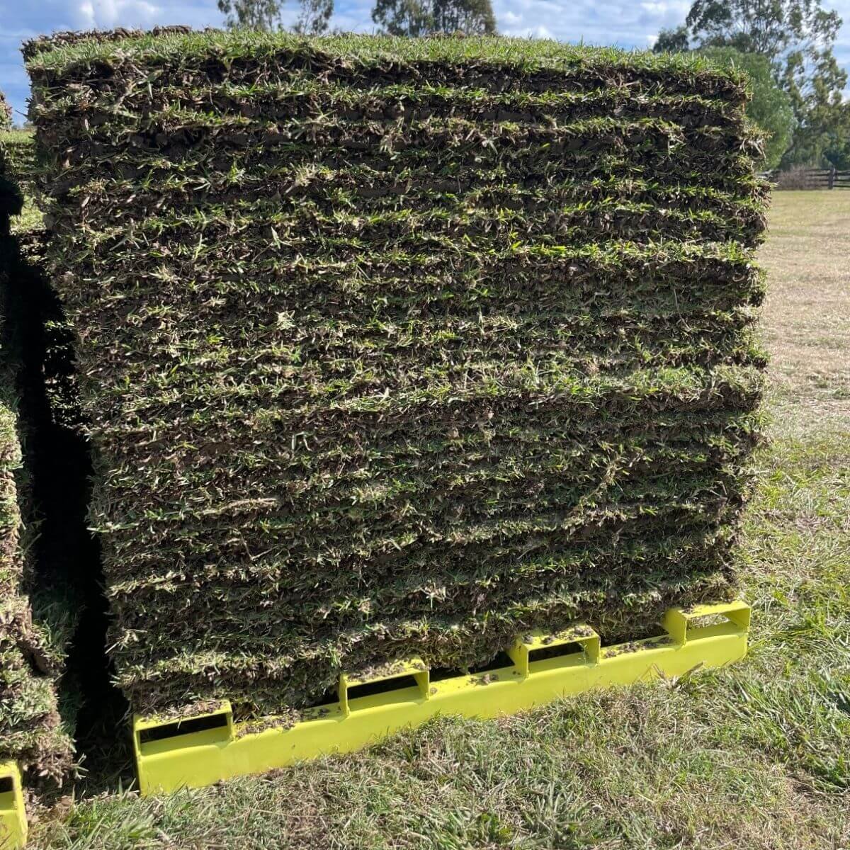 Sapphire Buffalo Turf - farm fresh turf delivered to Brisbane Ipswich ...