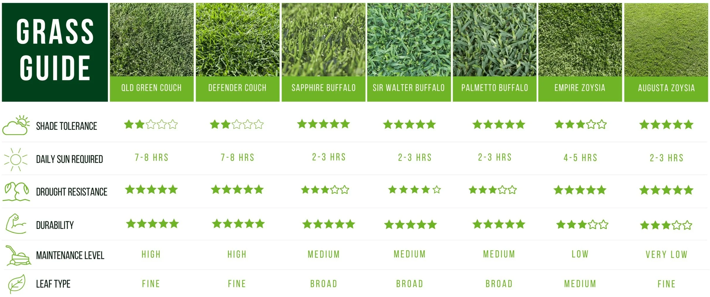Turf Comparison Guide | Find the Best Grass | The Turf Shed — The Turf Shed