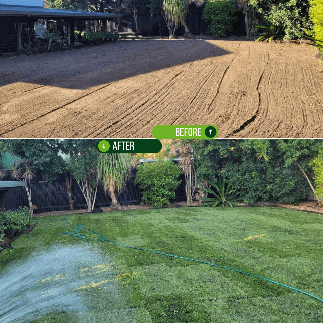 Shaun Before and After - Sir Walter.png