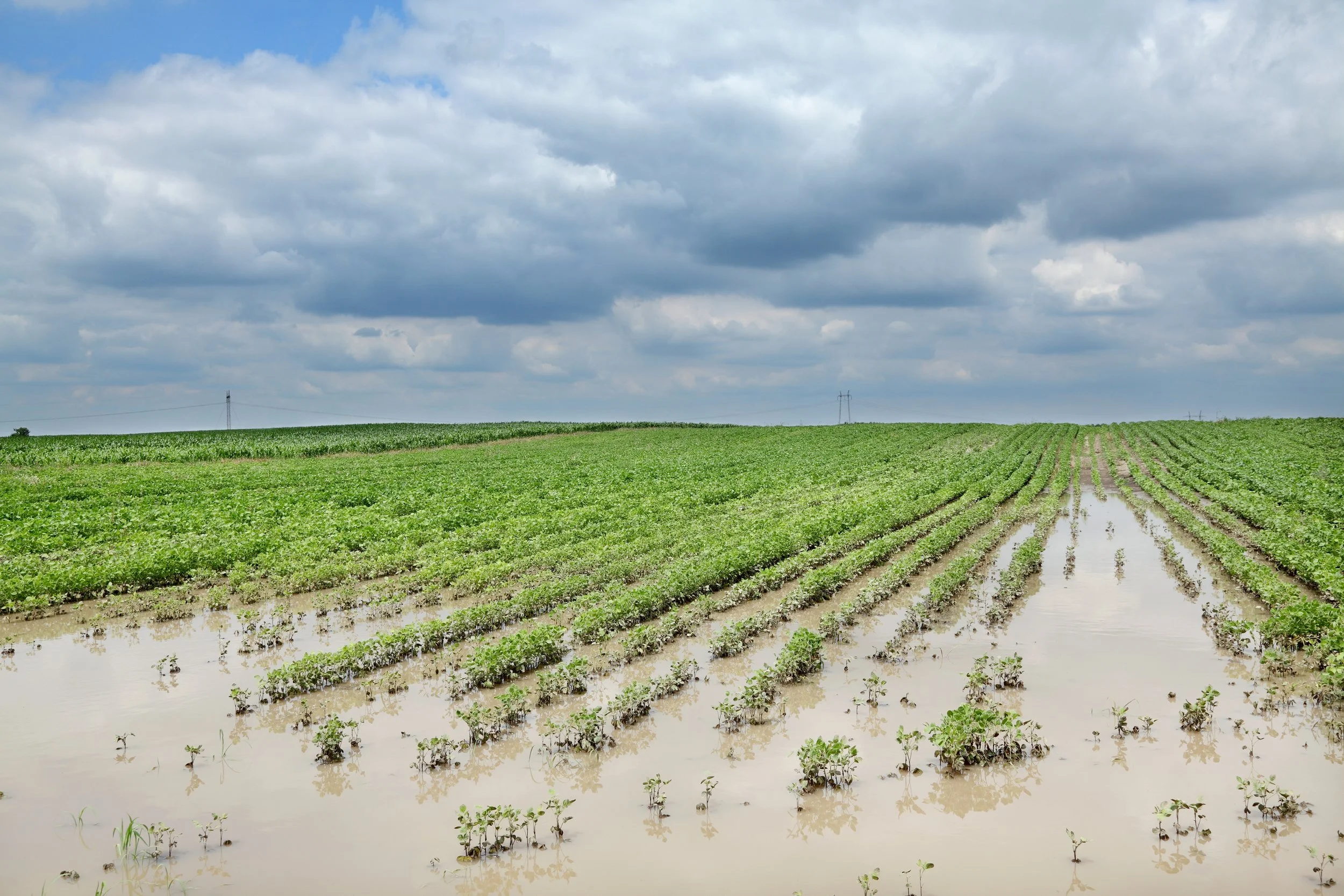 Advocacy in Action | Climate Variability &amp; Disasters