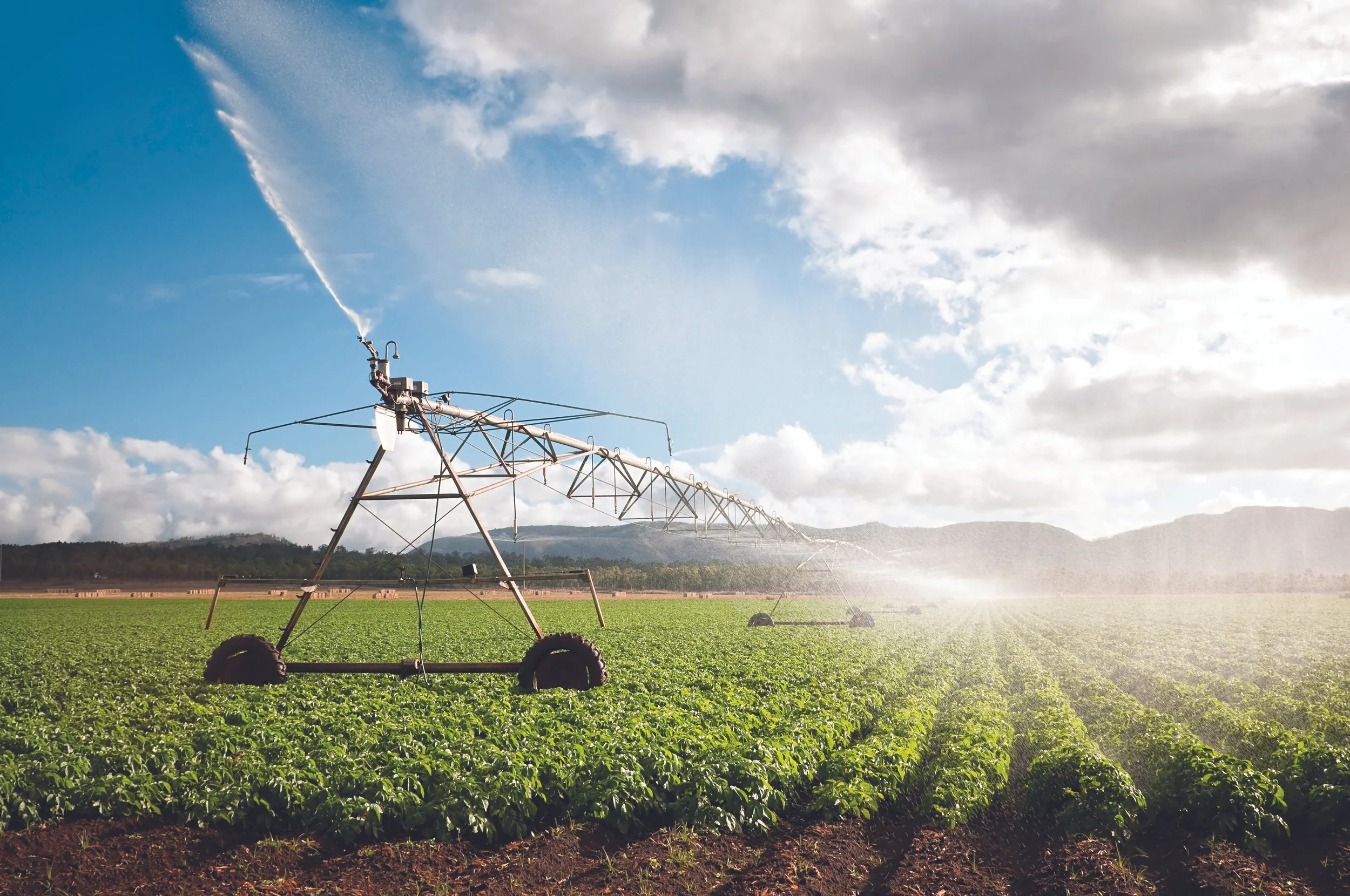 Advocacy in Action | Water