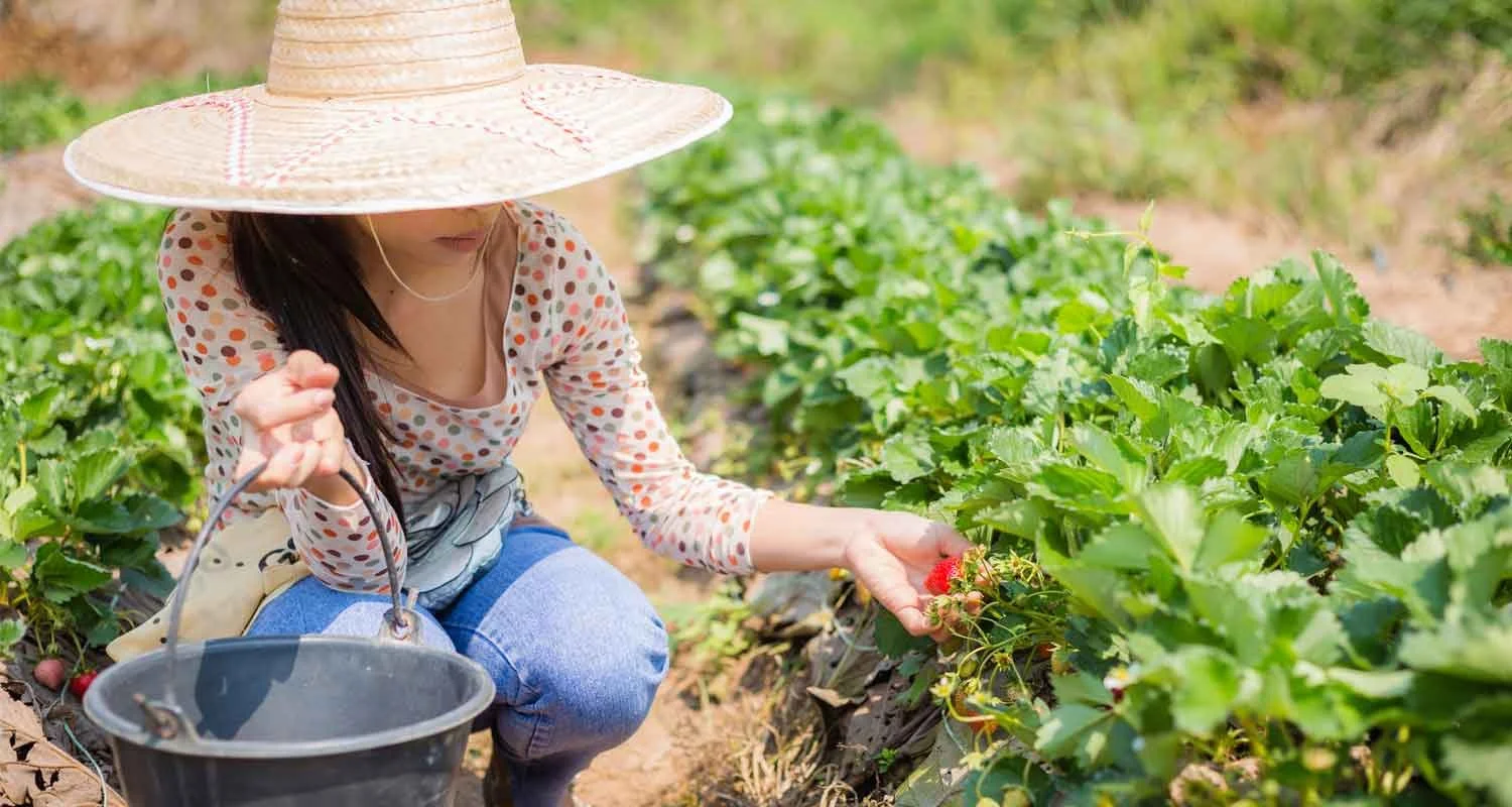 Queensland labour hire provider in court
