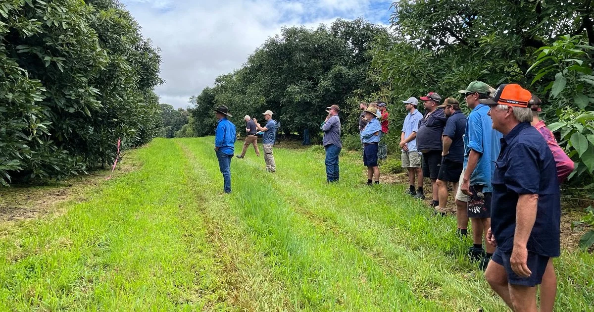 Practices in Focus: Precision Spray