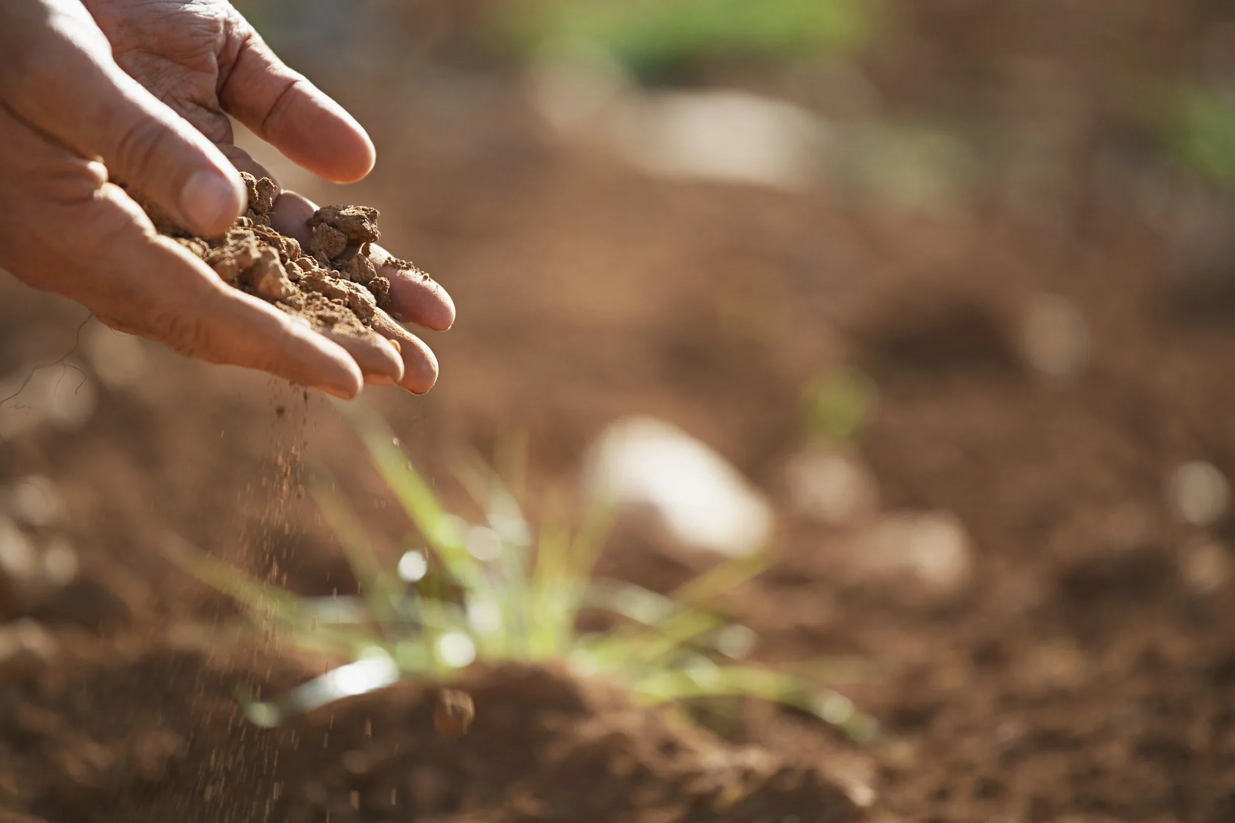 Australian National Soil Information System (ANSIS)