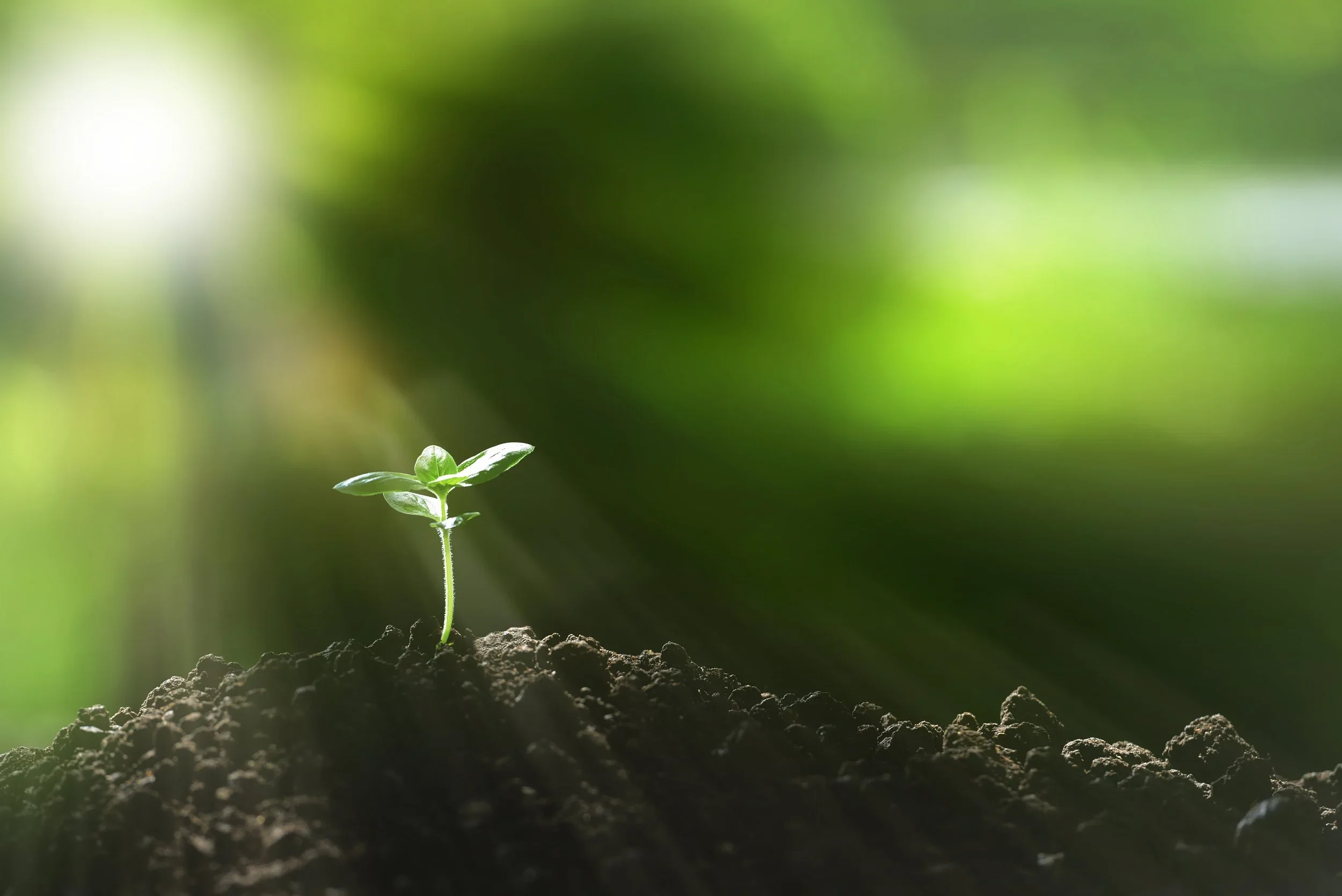 Terrain NRM Climate Webinar Series
