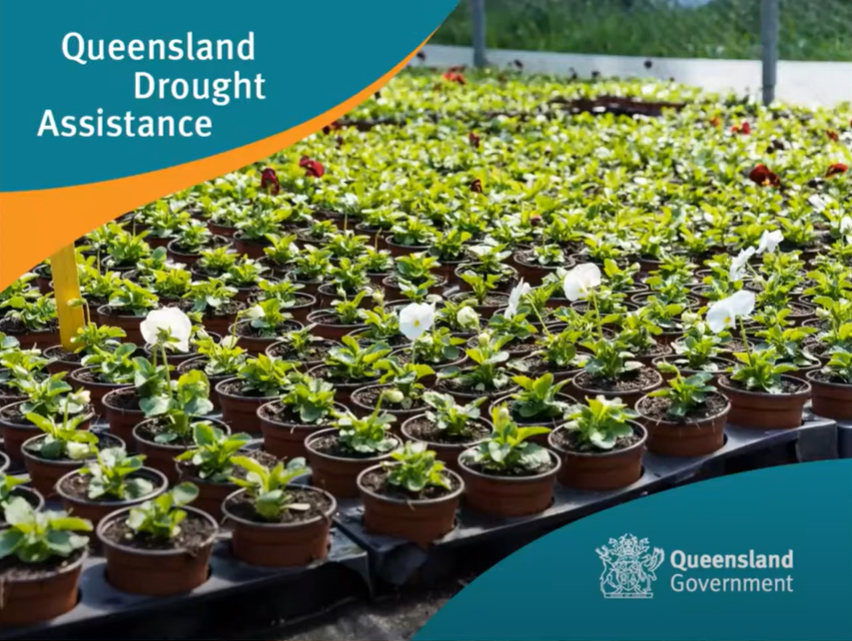 Webinar series: QDAF Drought Assistance Program