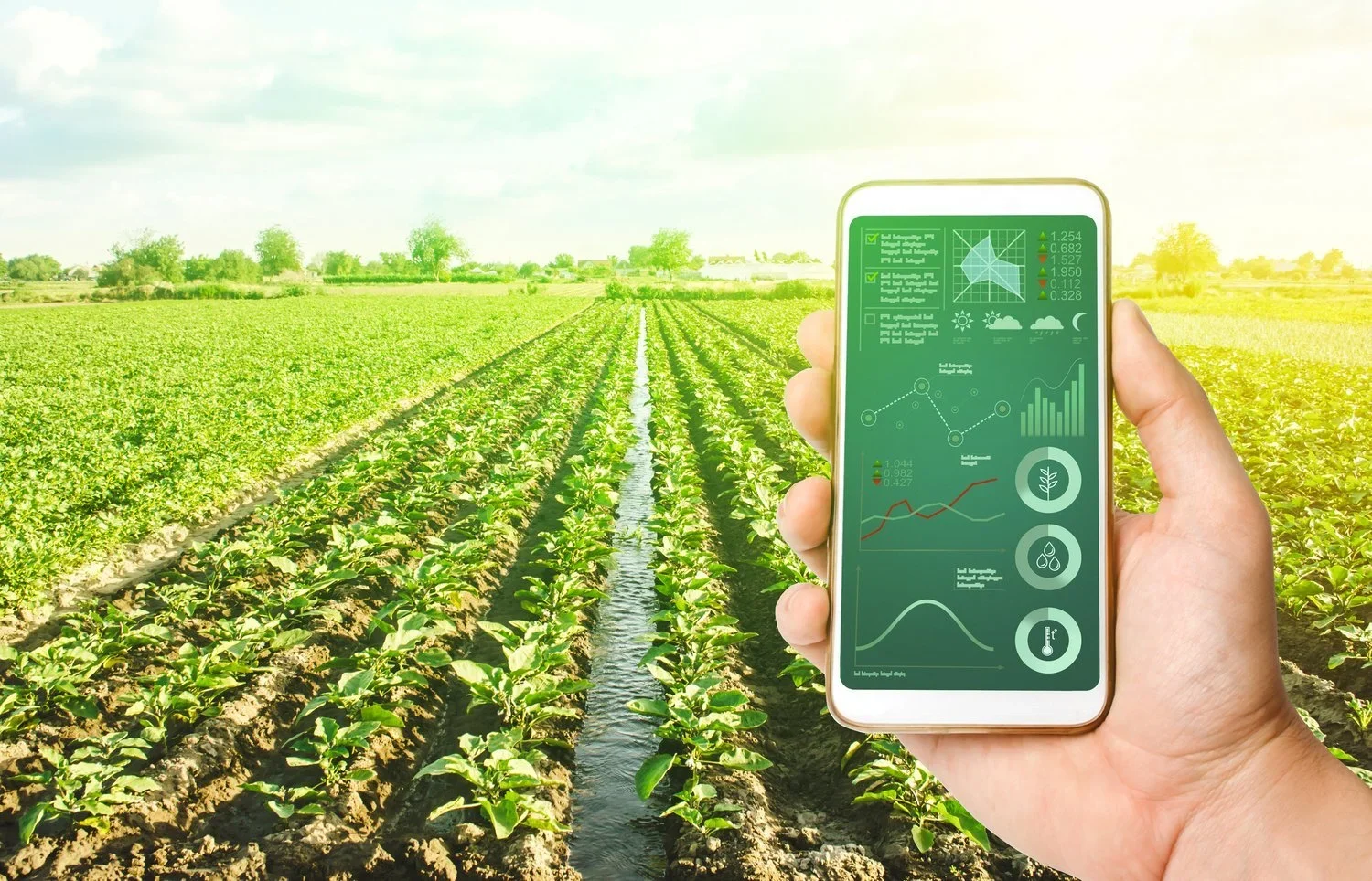 HortCarbon Info
