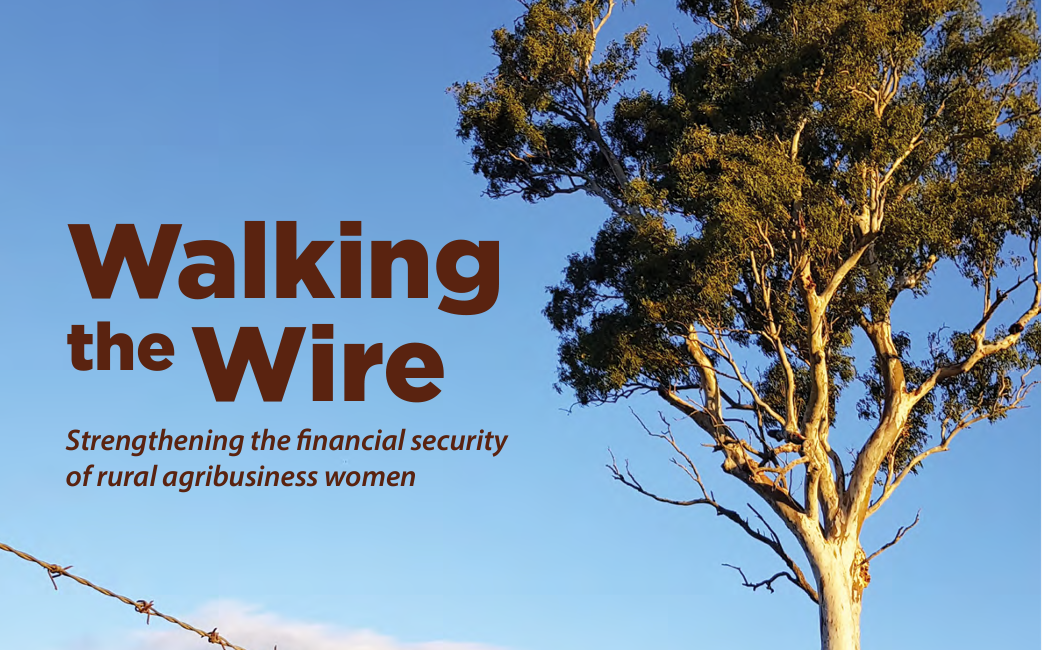 Walking the Wire: Strengthening the Financial Security of Rural Agribusiness Women