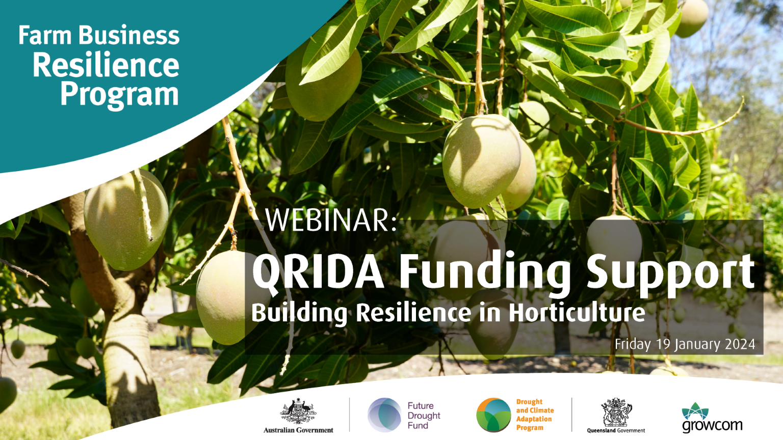Webinar: QRIDA Funding Support to Build Resilience in Horticulture