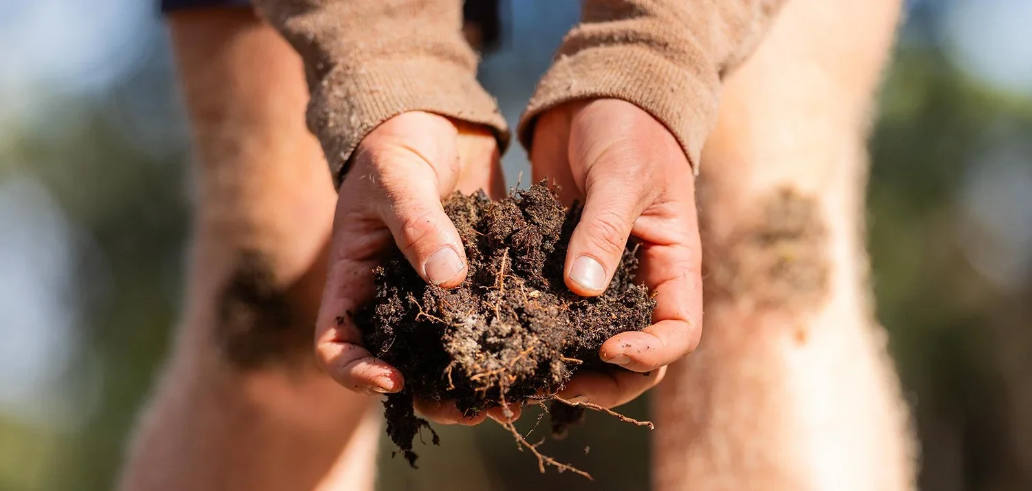 Supporting horticulture to navigate the carbon space