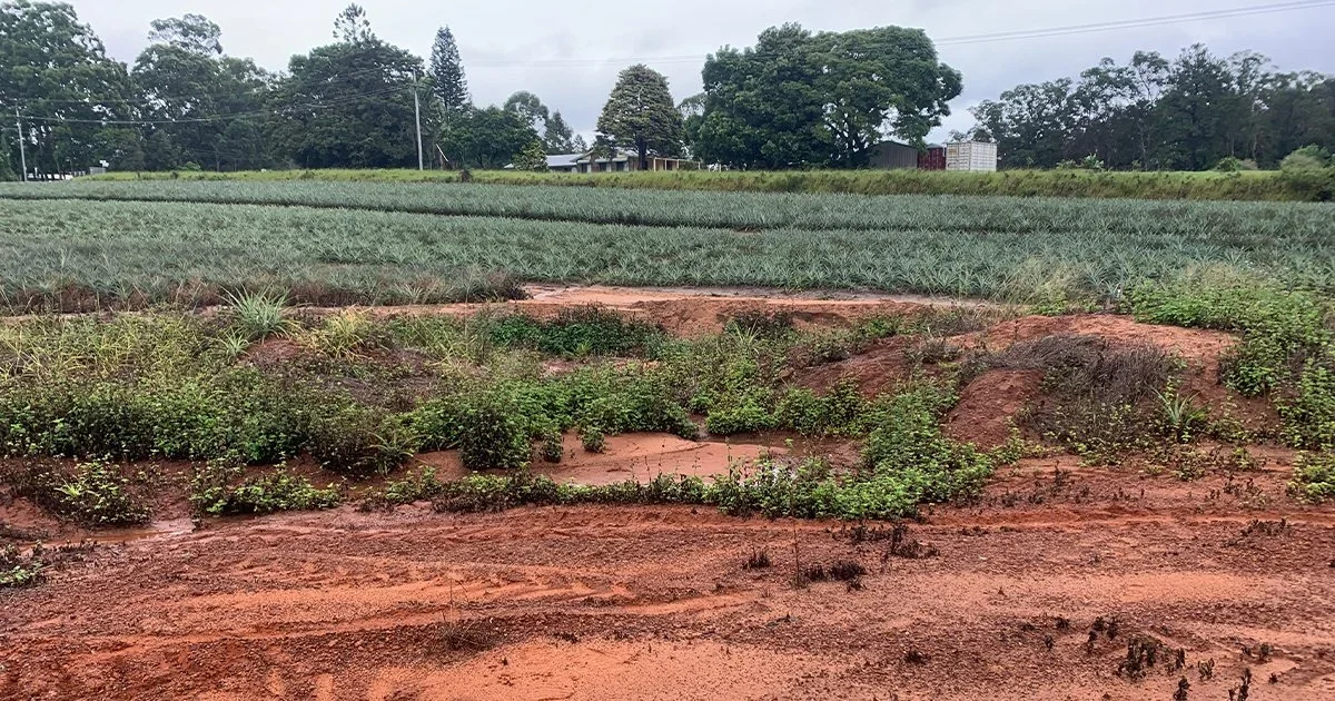 SEQ farms go sky high for knowledge